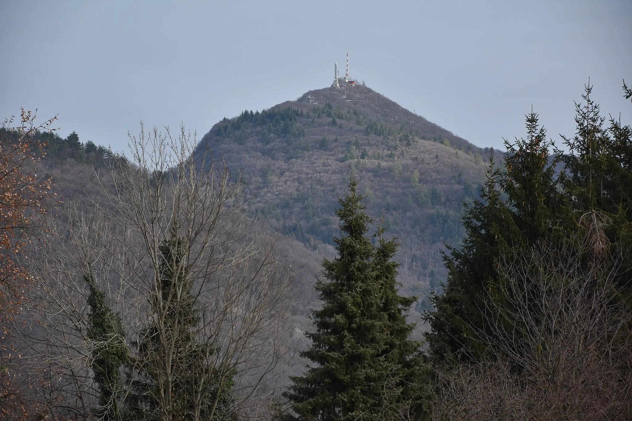 Photo showing: La vetta del Orsa Monte vista da Brenno Useria (Arcisate), in Lombardia.