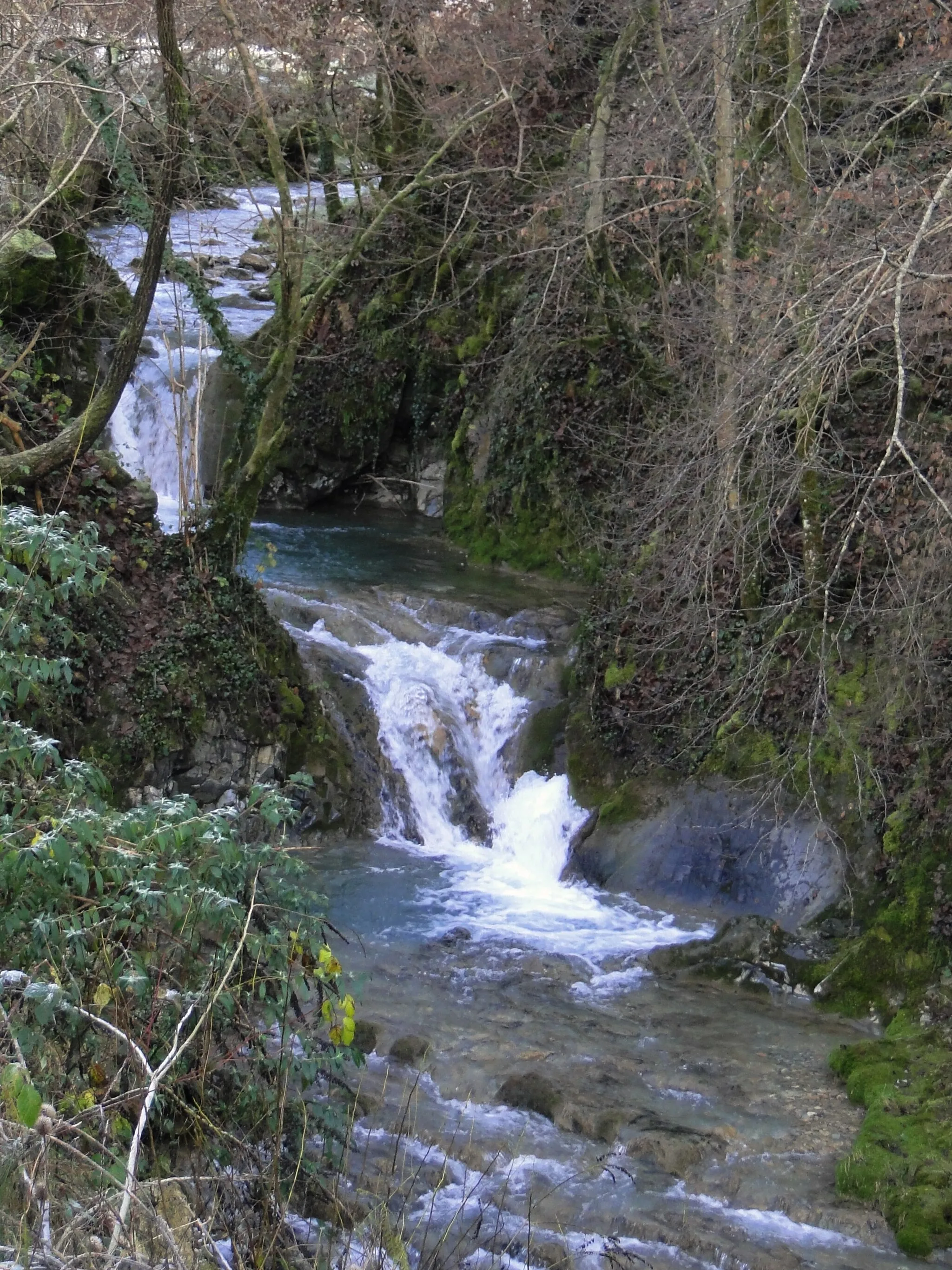 Photo showing: Torrente Rino tra Leffe e Peia (BG). Italy