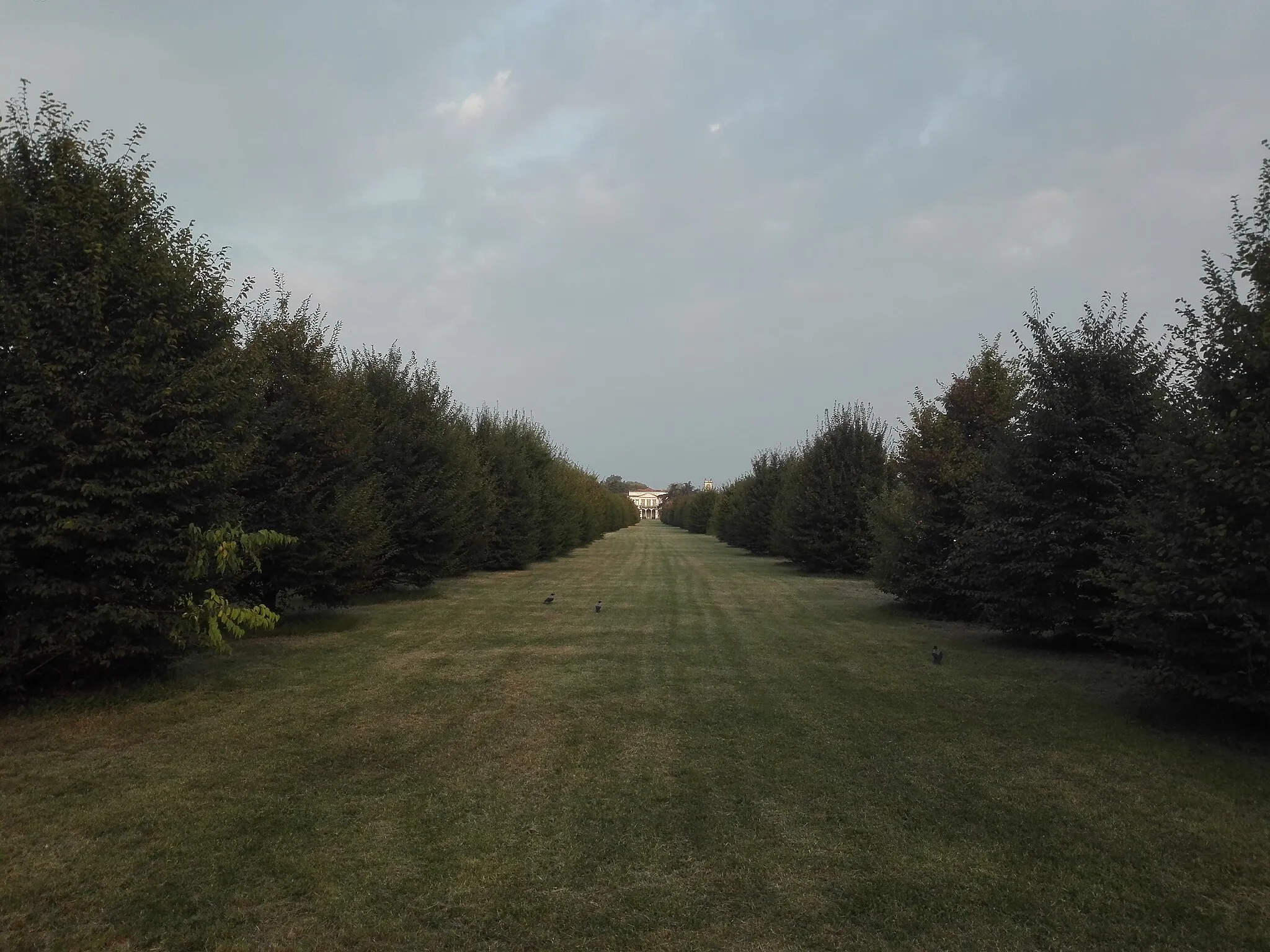 Photo showing: This is a photo of a monument which is part of cultural heritage of Italy. This monument participates in the contest Wiki Loves Monuments Italia 2019. See authorisations.