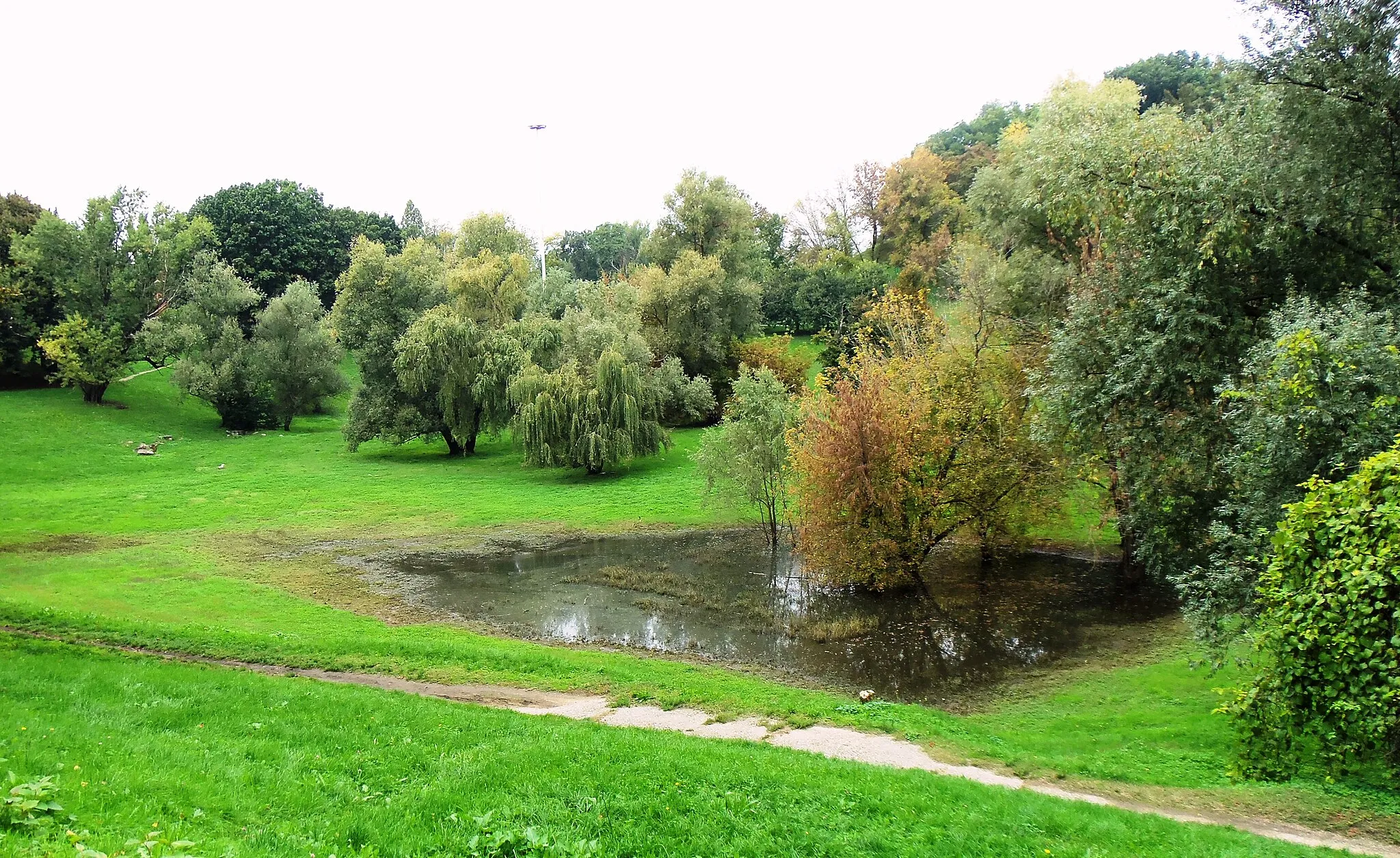 Photo showing: Milano, parco Lambro, un avvallamento che un tempo ospitava un laghetto, dopo la pioggia. ra la vegetazione spiccano i salici