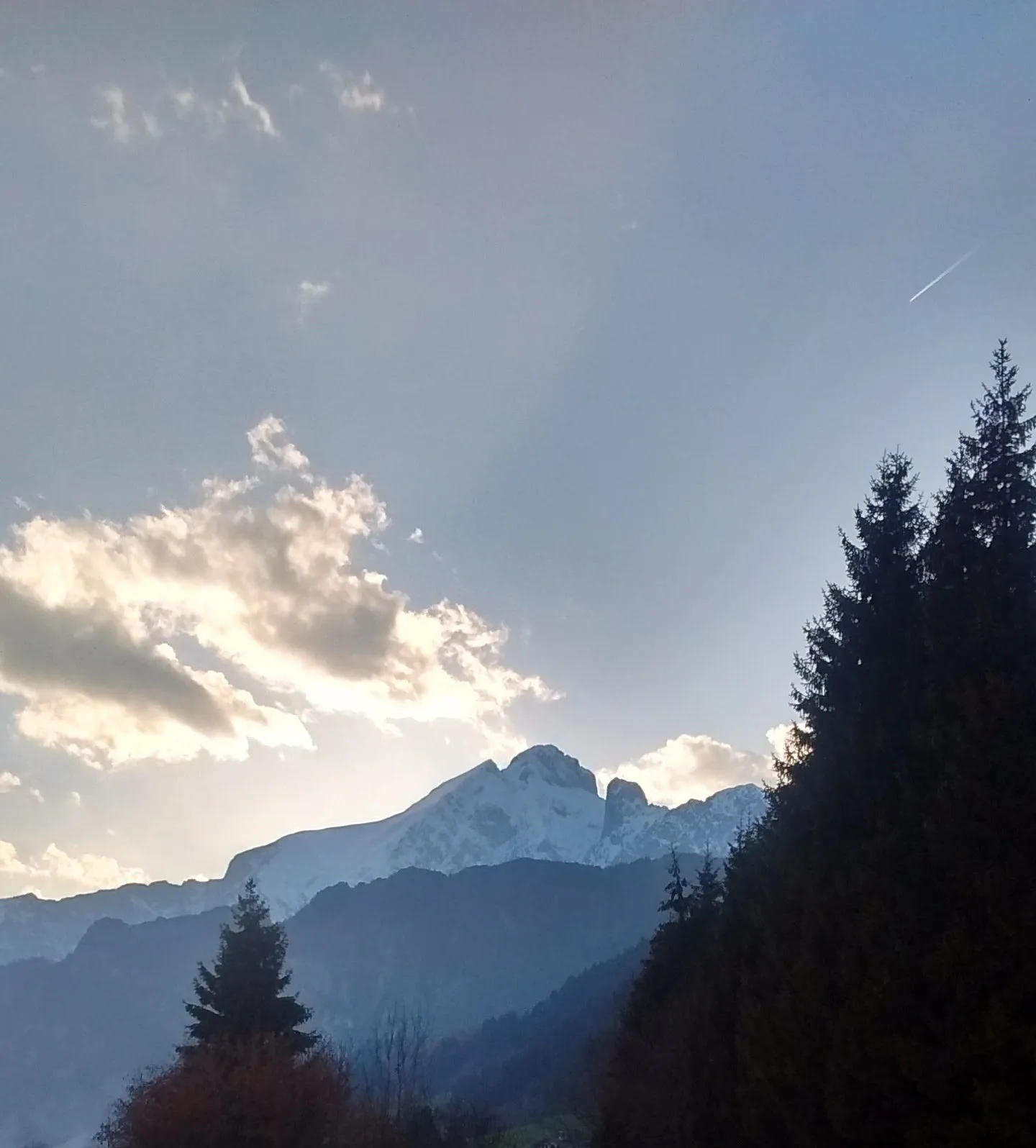 Photo showing: Riserva naturale Boschi del Giovetto di Paline