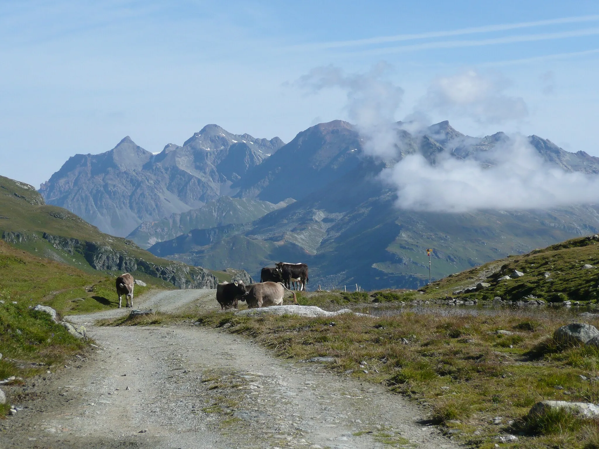 Photo showing: Septimerpass (rätoromanisch Pass da Sett), Passo del Settimo, 2310 m. Blick Richtung Norden mit Piz d'Err, Piz Calderas, Tschima da Flix, Piz d'Agnel, Piz Neir, Piz Barscheinz und Piz Surgonda.