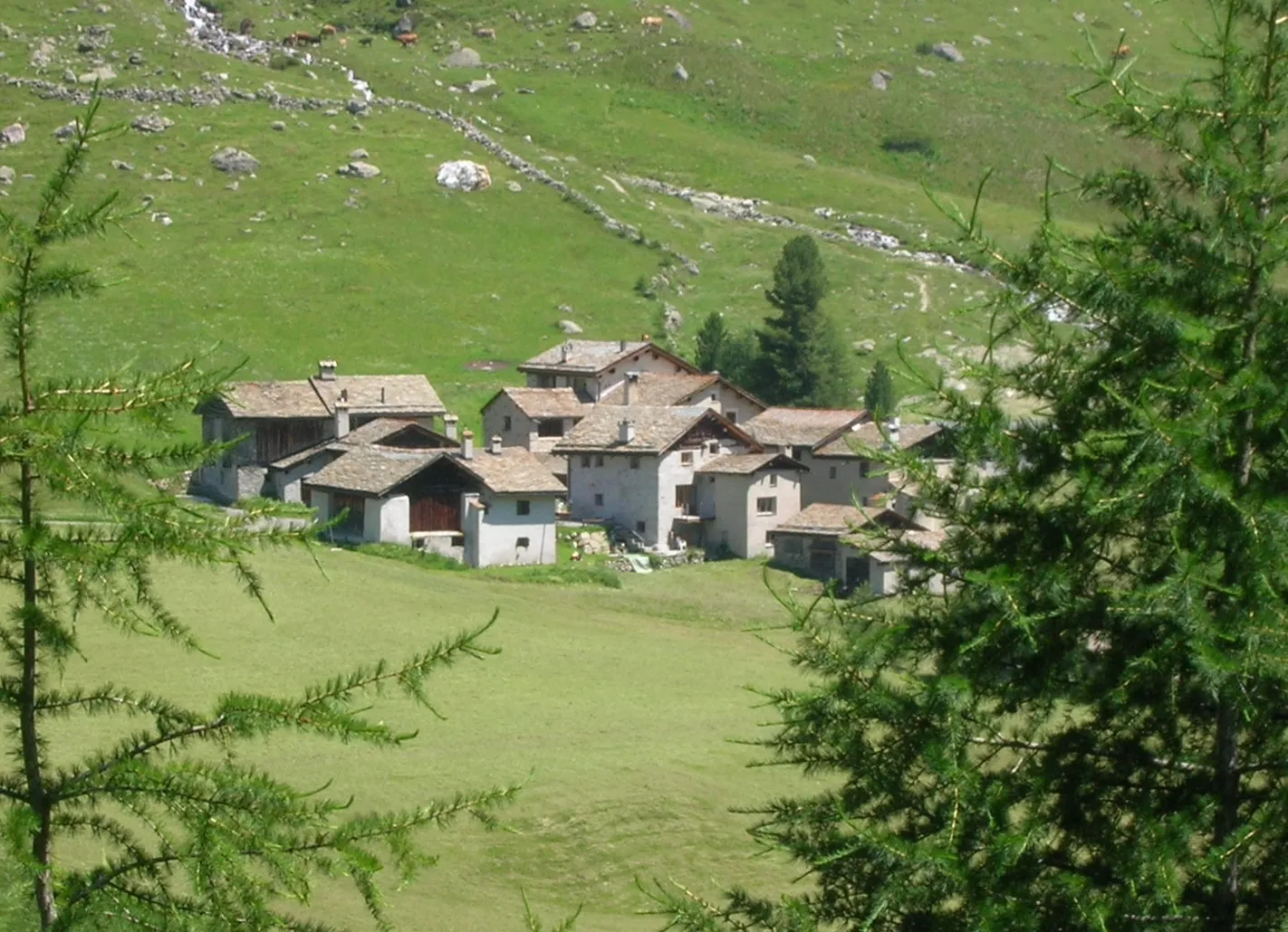 Photo showing: Platta, Val Fex, Segl, Engiadina, Grischun, Svizra (Platta in the Fex Valley in Switzerland). Trees in foreground are Larix decidua.