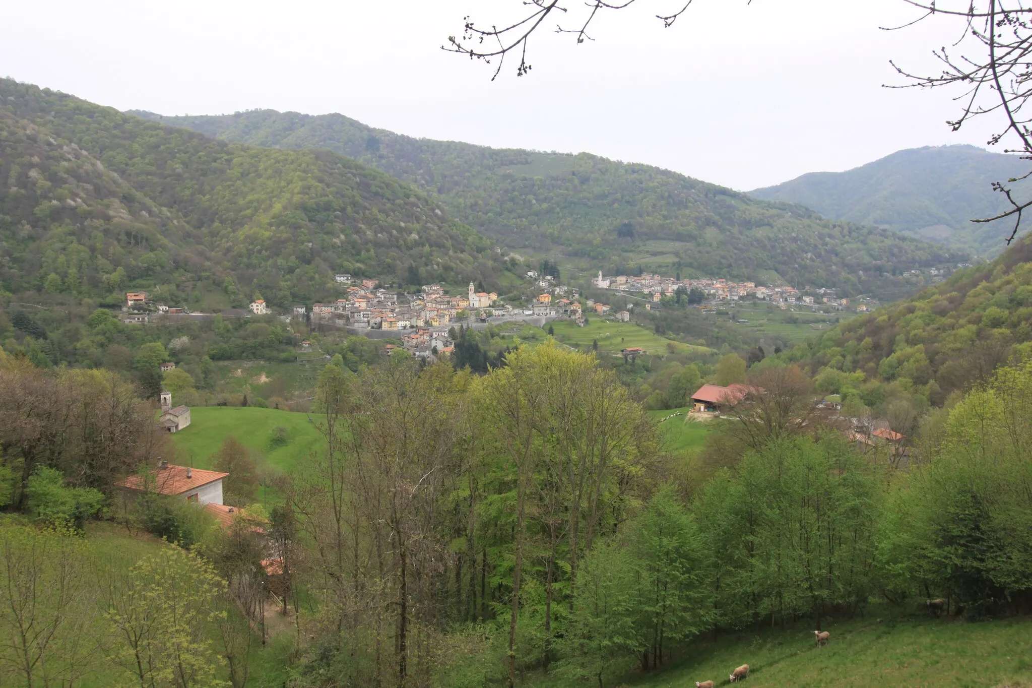 Photo showing: Villages Muggio (left) and Cabbio in the Valle di Muggio, TI, seen from Alpe di Germania. Lower left church of San Giovanni Battista in Tur.