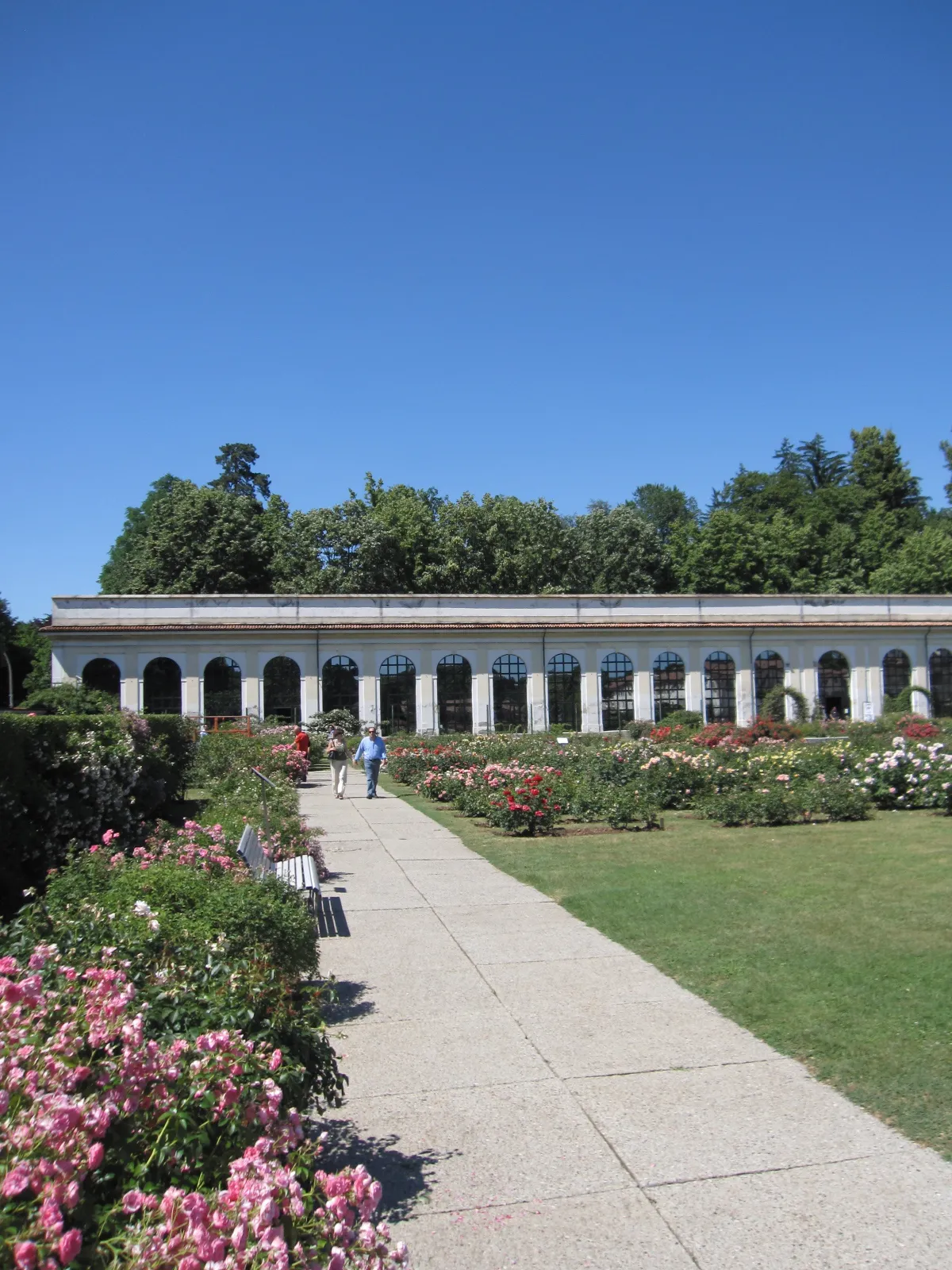 Photo showing: Rose garden of the Royal Villa of Monza.