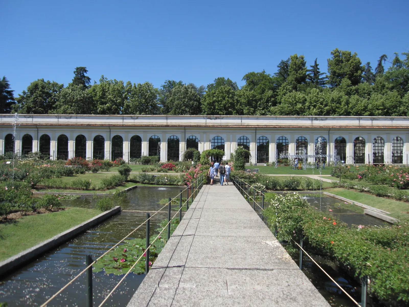 Photo showing: Rose garden of the Royal Villa of Monza.