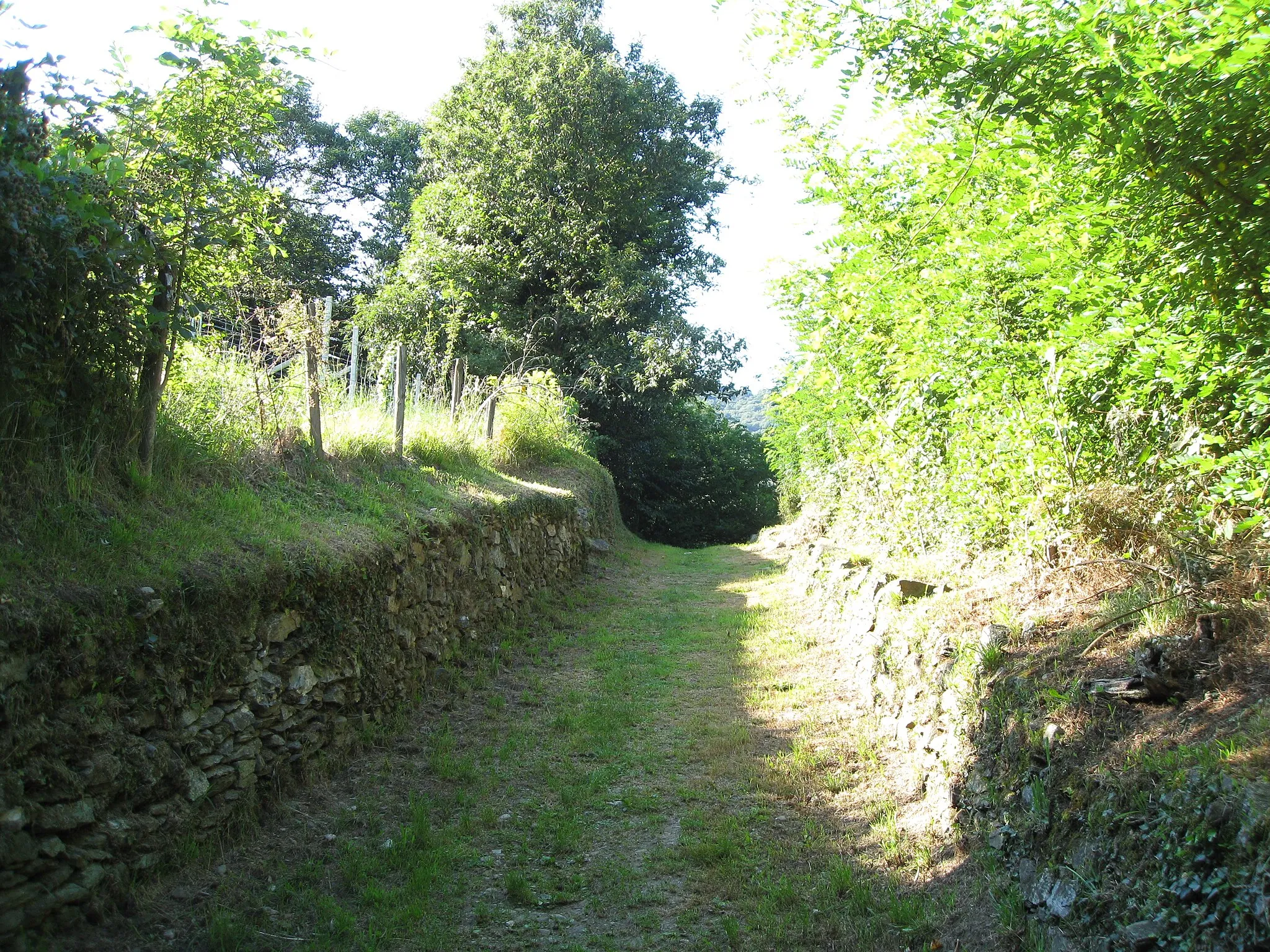 Photo showing: path to Monteggio