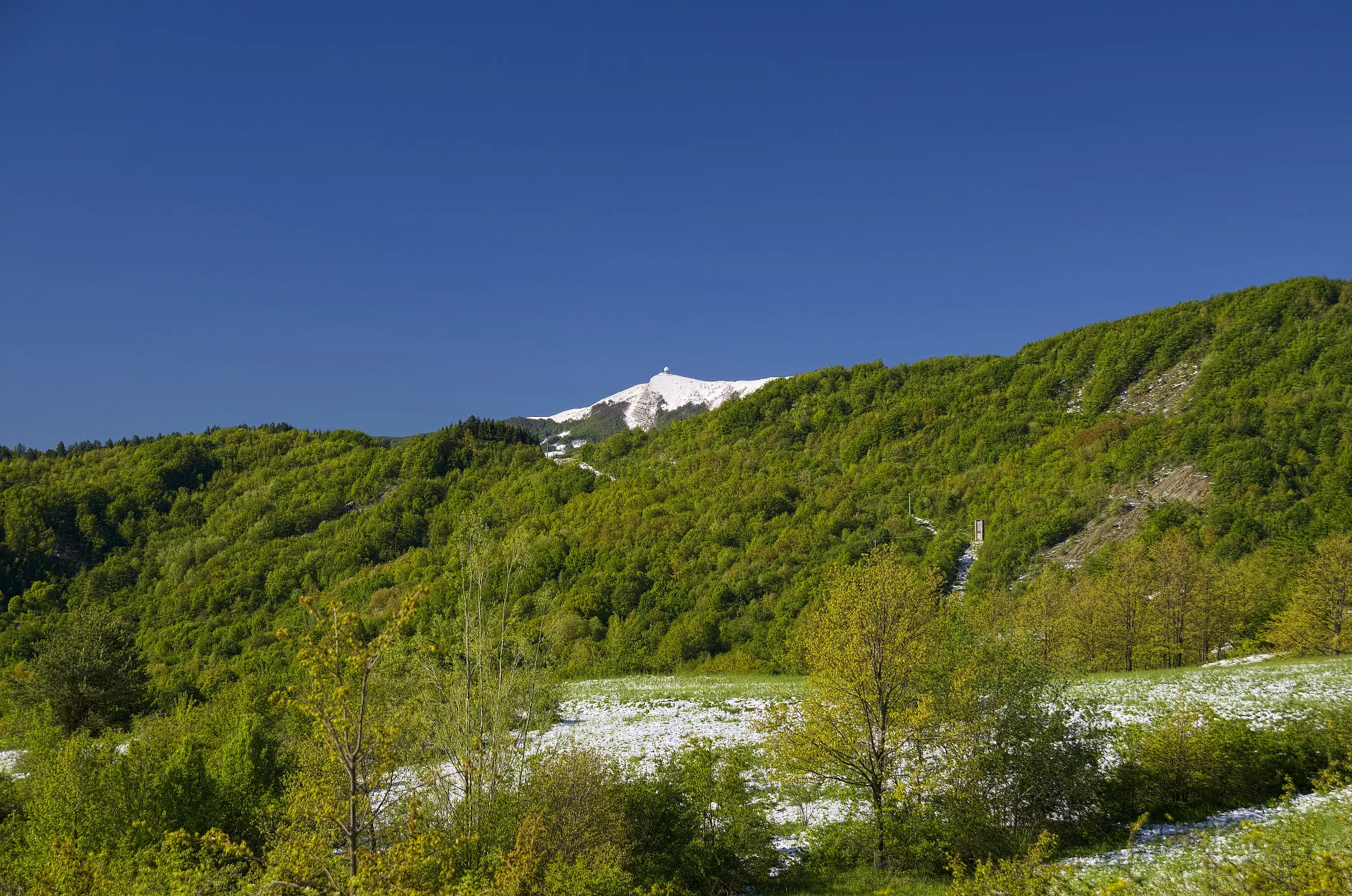 Photo showing: Monte Lesima