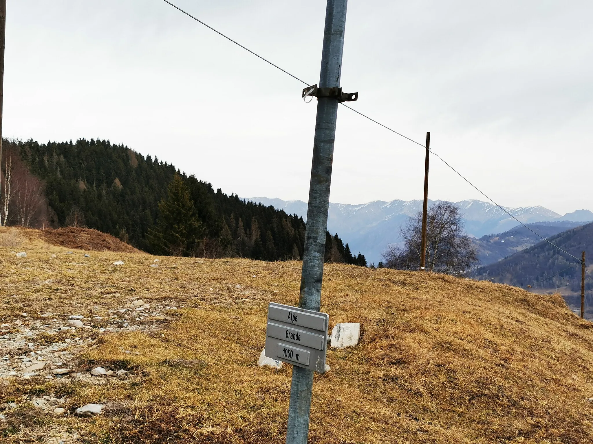 Photo showing: Targa ad Alpe Grande, adiacente alla strada asfaltata e appena staccata sotto il sentiero della Via dei Monti Lariani.