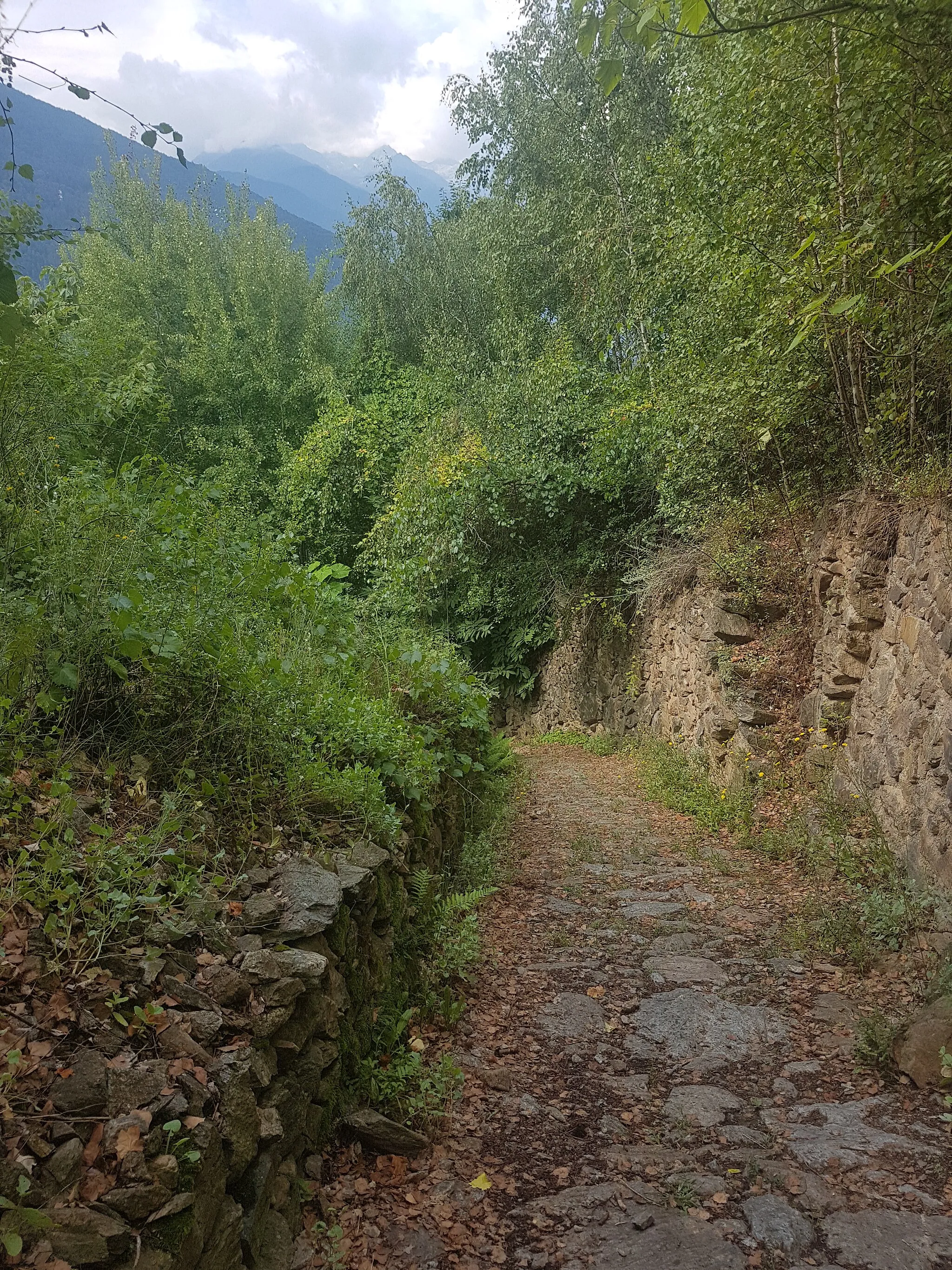 Photo showing: Hiking trail to Rancaiola. Roncaiola is a part of Tirano in Italy.