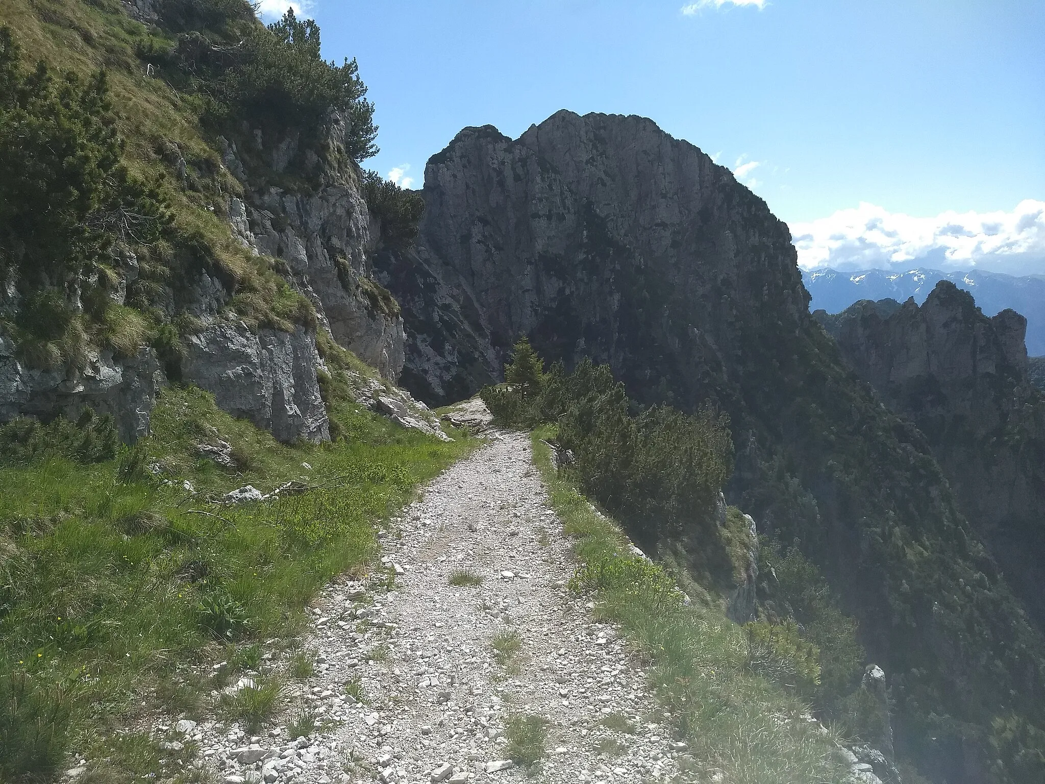 Photo showing: monte Caplone