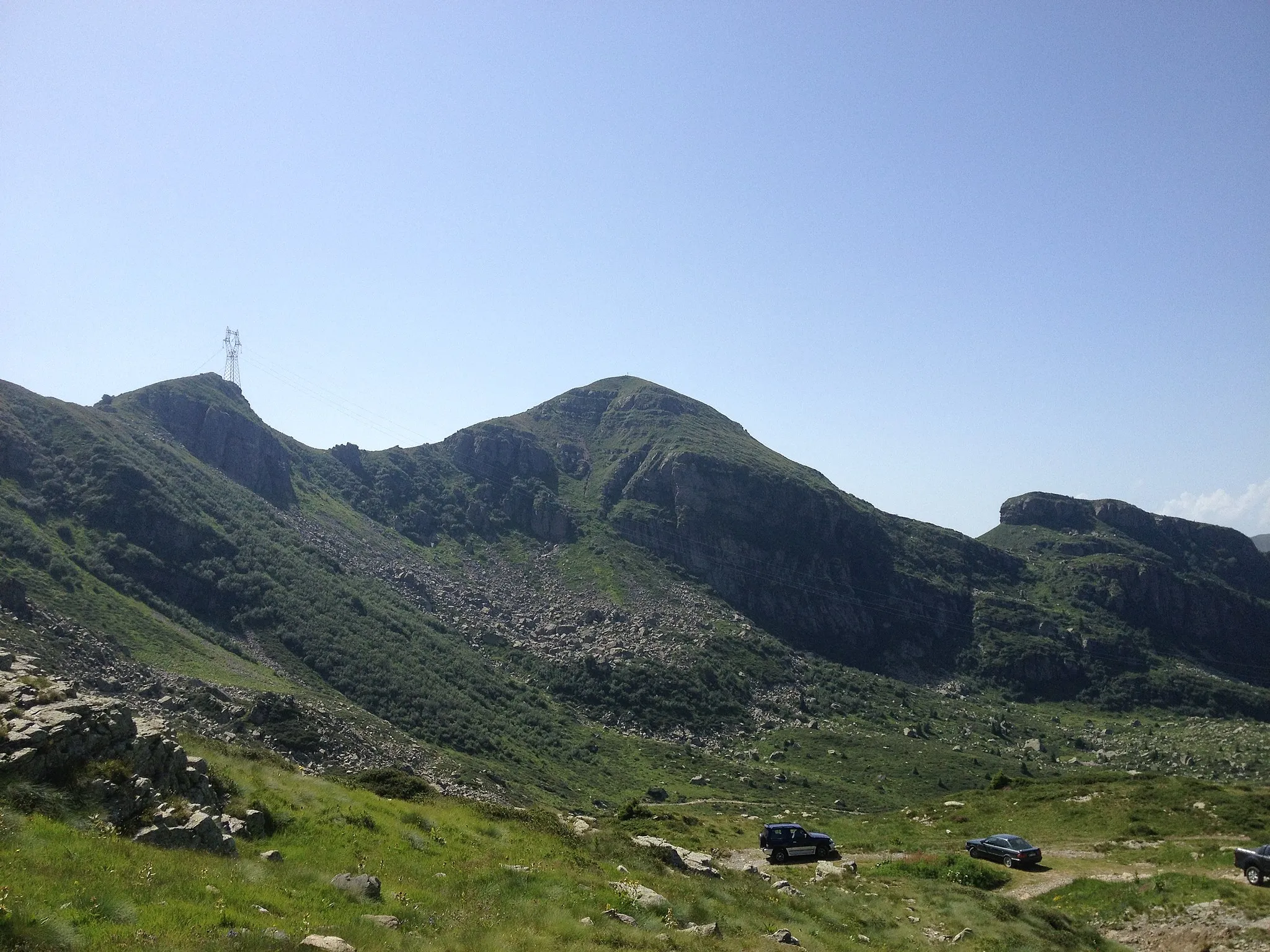 Photo showing: Colombine dal Passo Ravenola