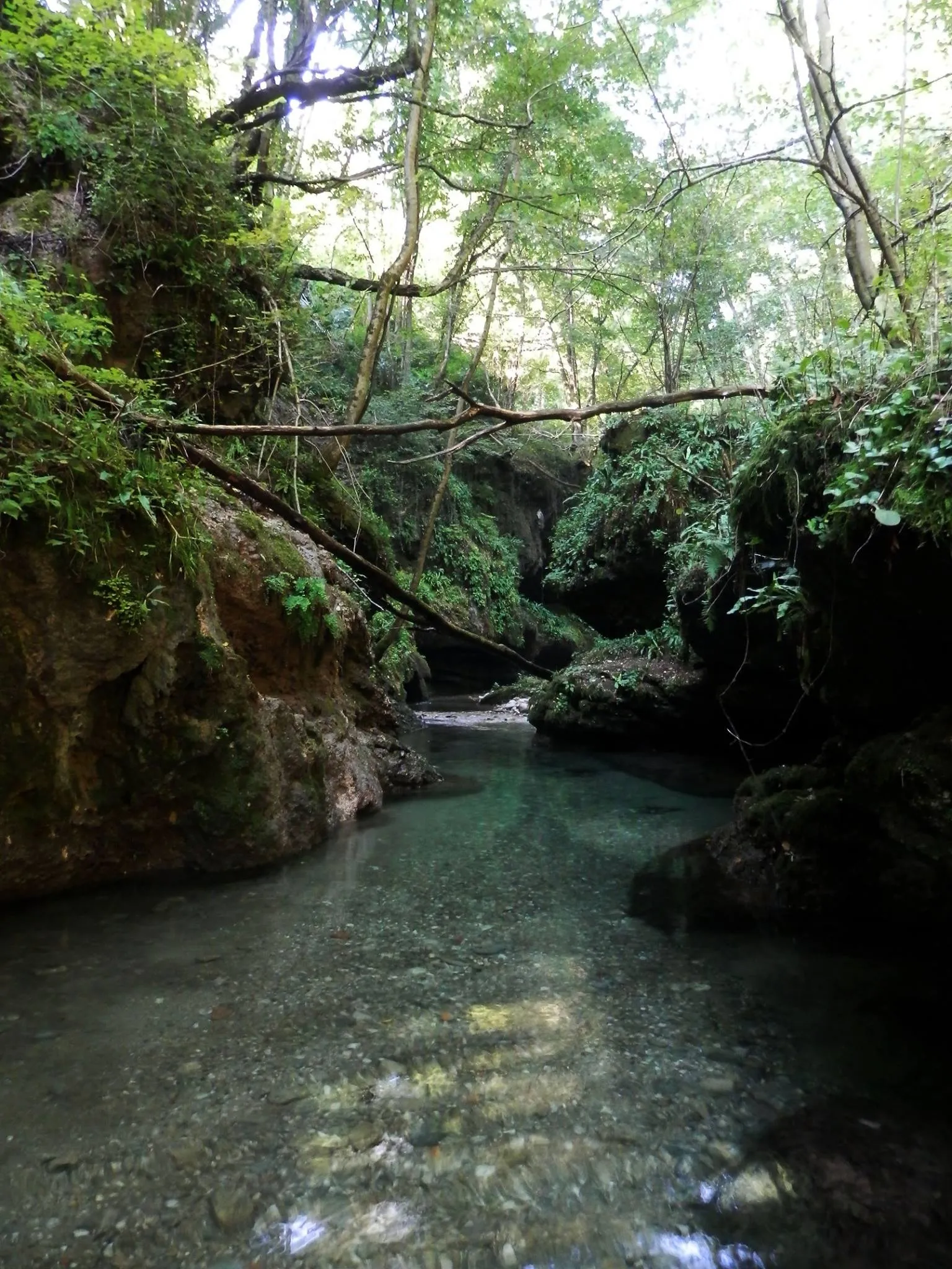 Photo showing: Ponte del diavolo, torrente Tinella, Morosolo (comune di Casciago), in provincia di Varese.