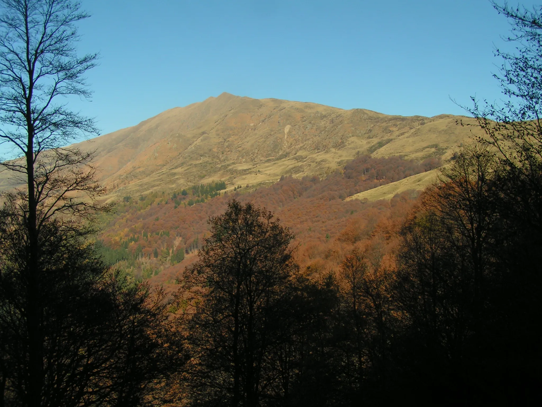 Photo showing: Gazzirola versante sud
