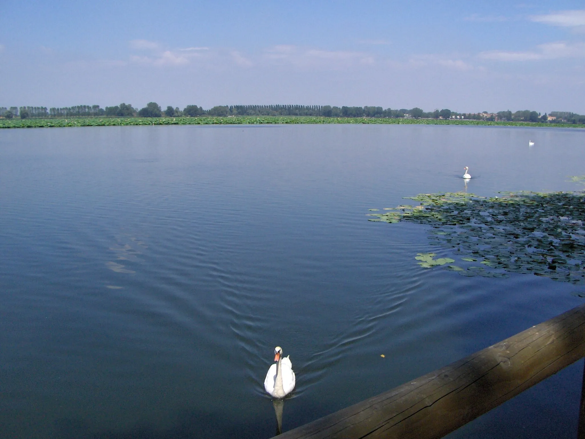 Photo showing: Mantova - Lago Superiore panorama