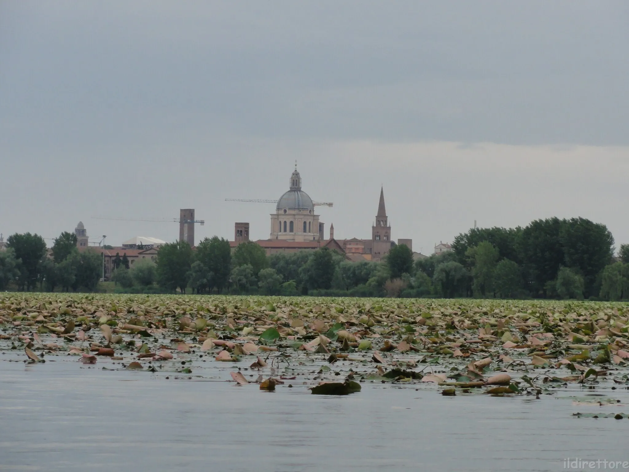 Photo showing: Mantova dal lago