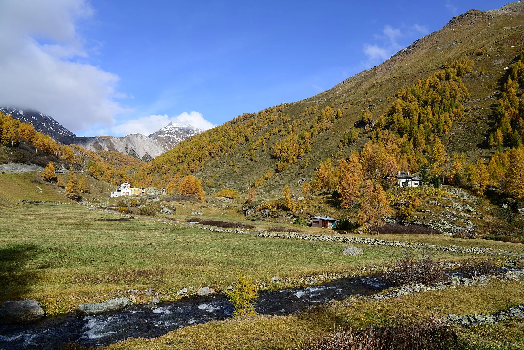 Photo showing: The plain of la Rösa at 1886m on Hauptstrasse 29 to the Bernina Pass in the Swiss canton of Graubünden. Under the snow-covered mountain (center), the Livigno Pass leads to Livigno in Italy. The larch forests have turned golden yellow as the fall sets in. The Poschiavino river is in the foreground.