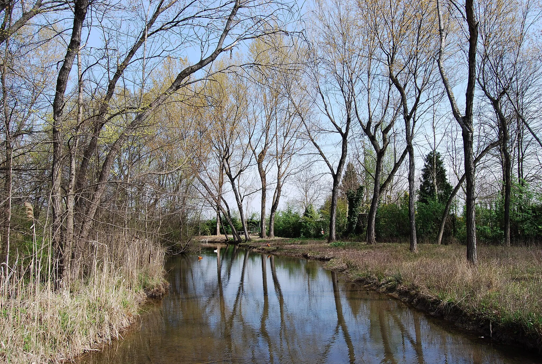 Photo showing: Castel Goffredo, zona dei fontanili.