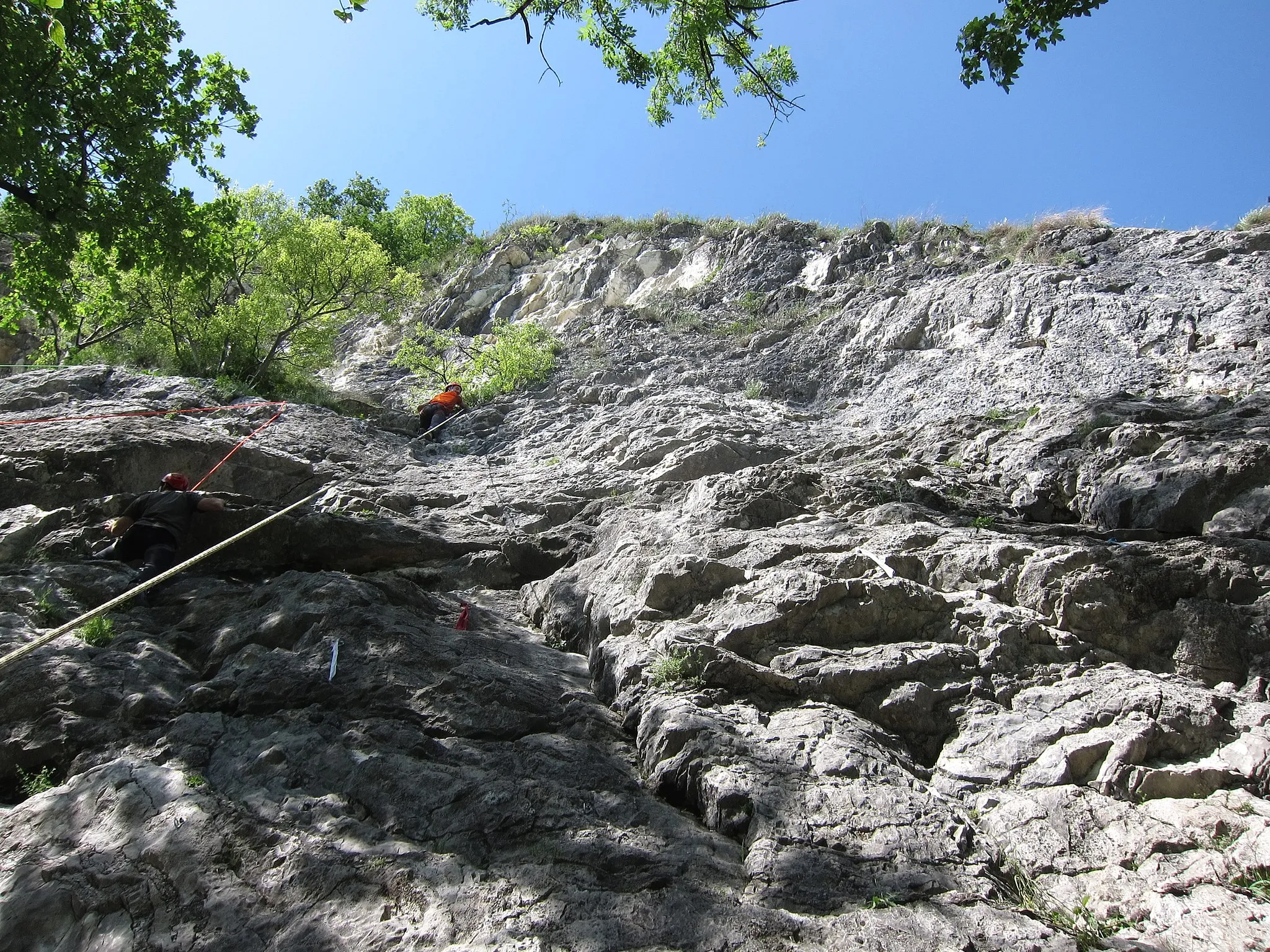 Photo showing: Limestone rock wall prepared with blots and fixed belay for purpose of rock sport climbing. The cliff named "Falesia del Picuz" is located in the town Sangiano, (Varese, Italy). Picture was taken on the 6th of May 2018. 2018-05-06