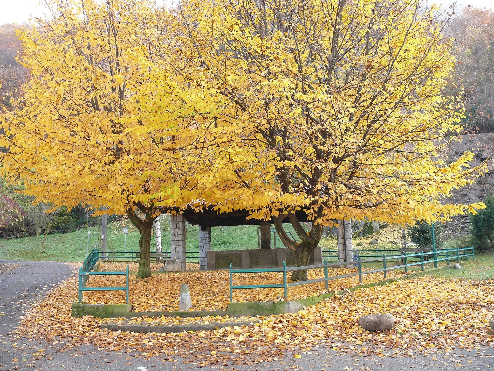 Photo showing: i colori dell'autunno a Gratacasolo di Pisogne