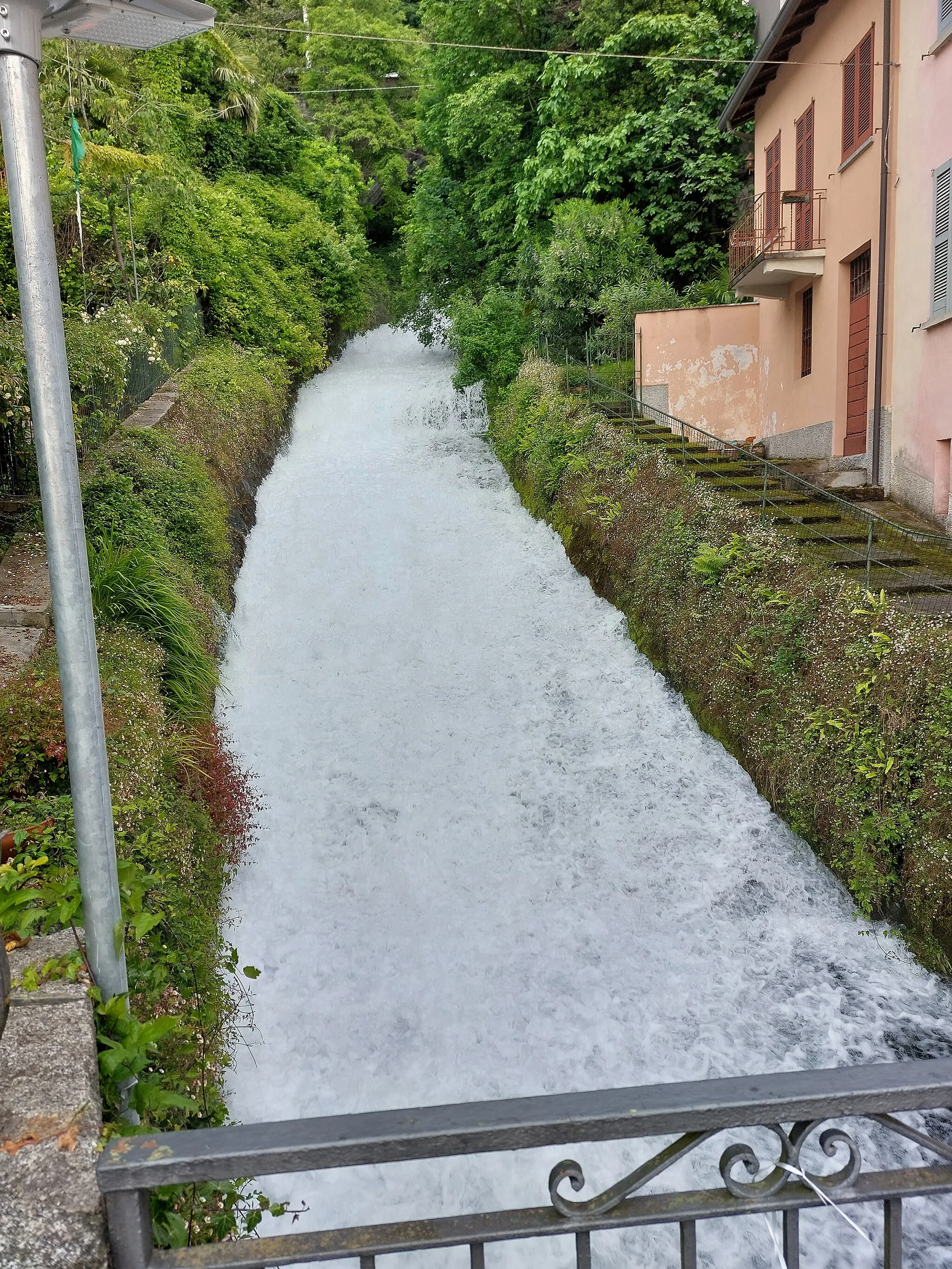 Photo showing: Il Fiumelatte a frazione fiumelatte in prossimità del ponte pedonale poco prima dell'immissione nel lago.
