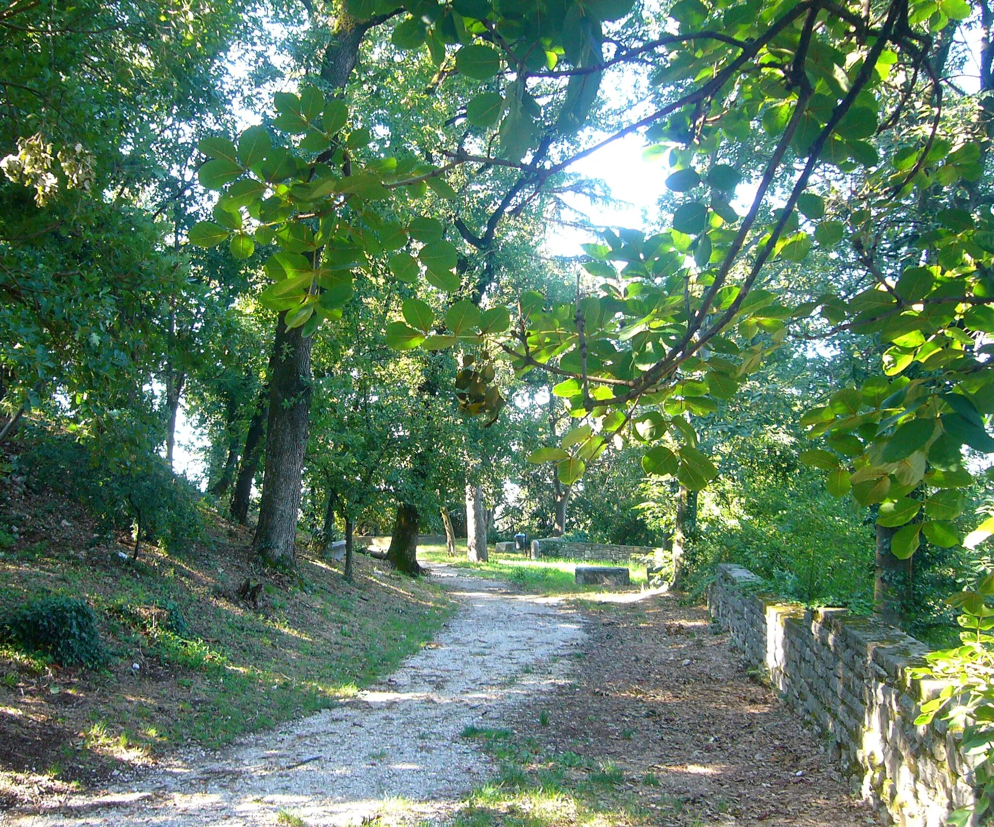 Photo showing: Il Parco di Bacco a Rezzato, in provincia di Brescia