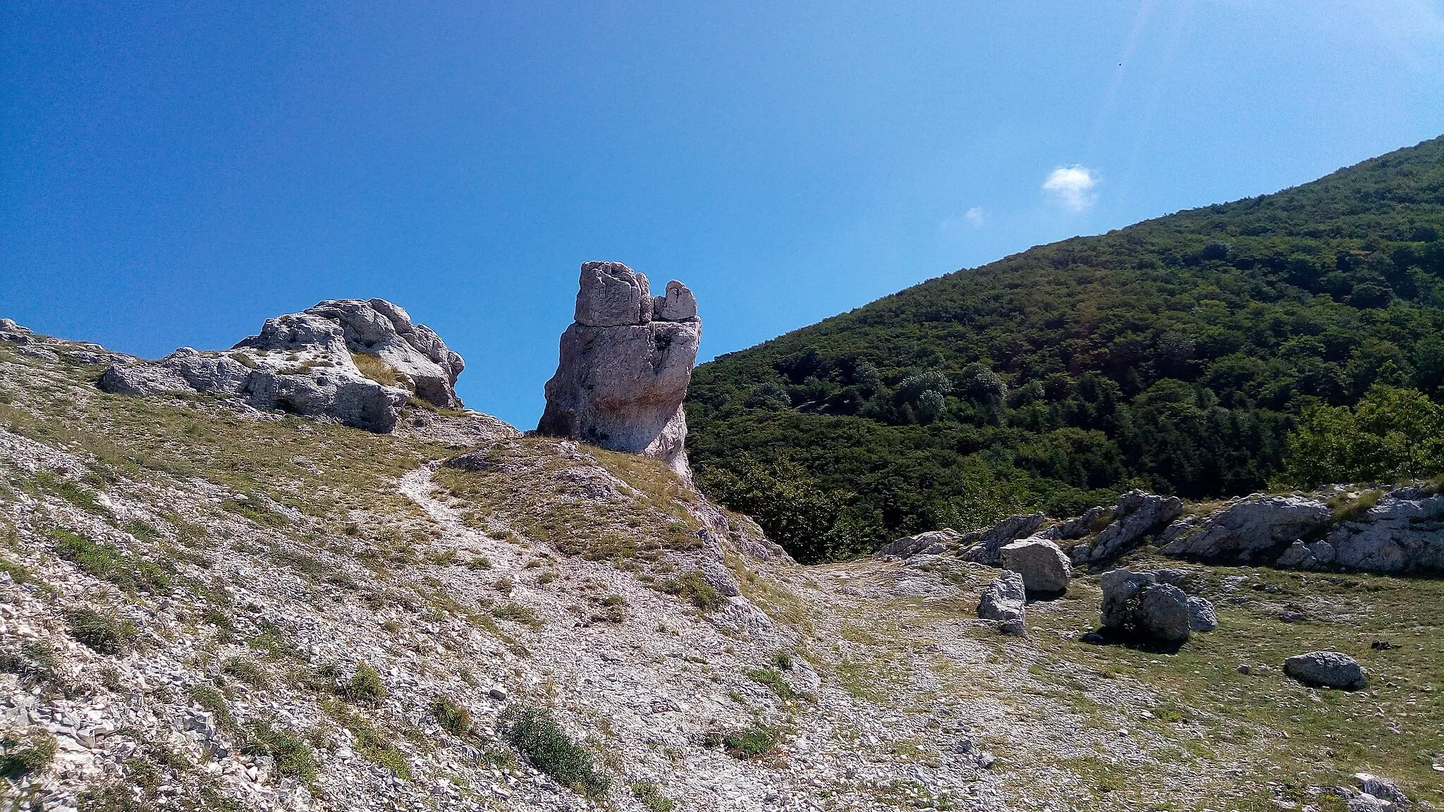 Photo showing: Formazione calcarea del Monte Cucco nota come il Sasso.