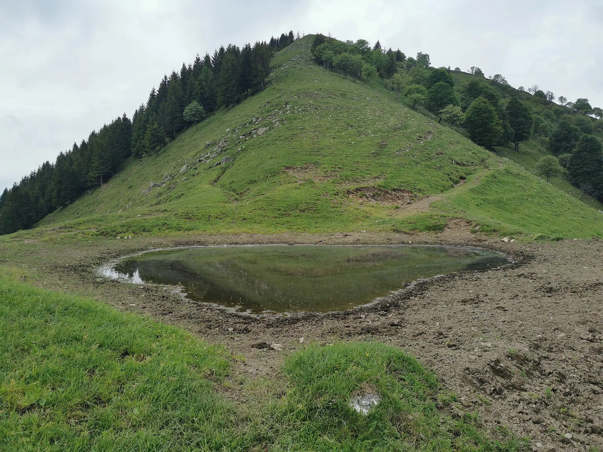 Photo showing: Monte di Lenno - cresta nord est, inquadrata da una pozza poco sopra l'Alpe di Lenno