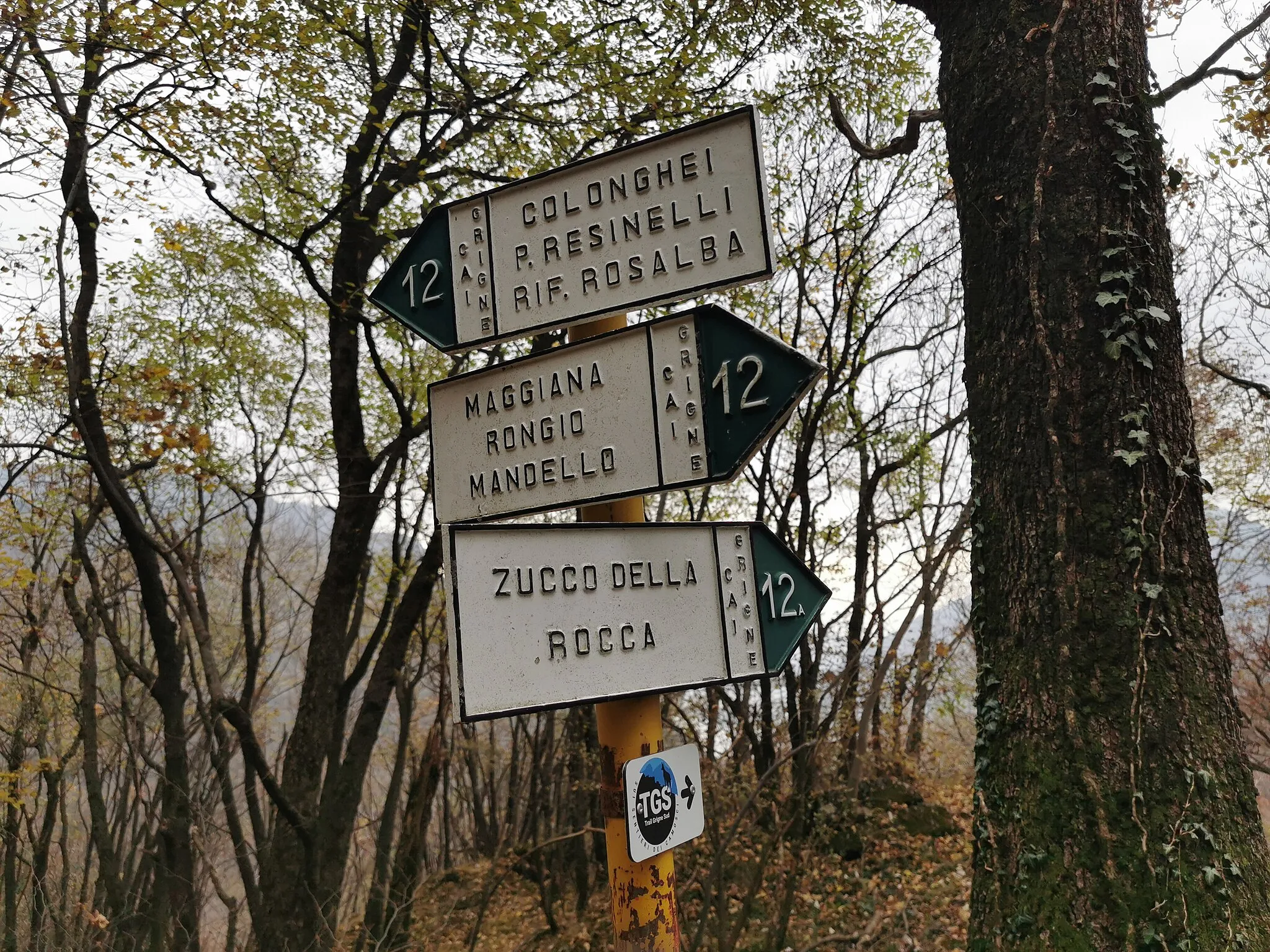 Photo showing: Segnavia alla diramazione del sentiero 12A dal sentiero 12, in direzione dello Zucco della Rocca.