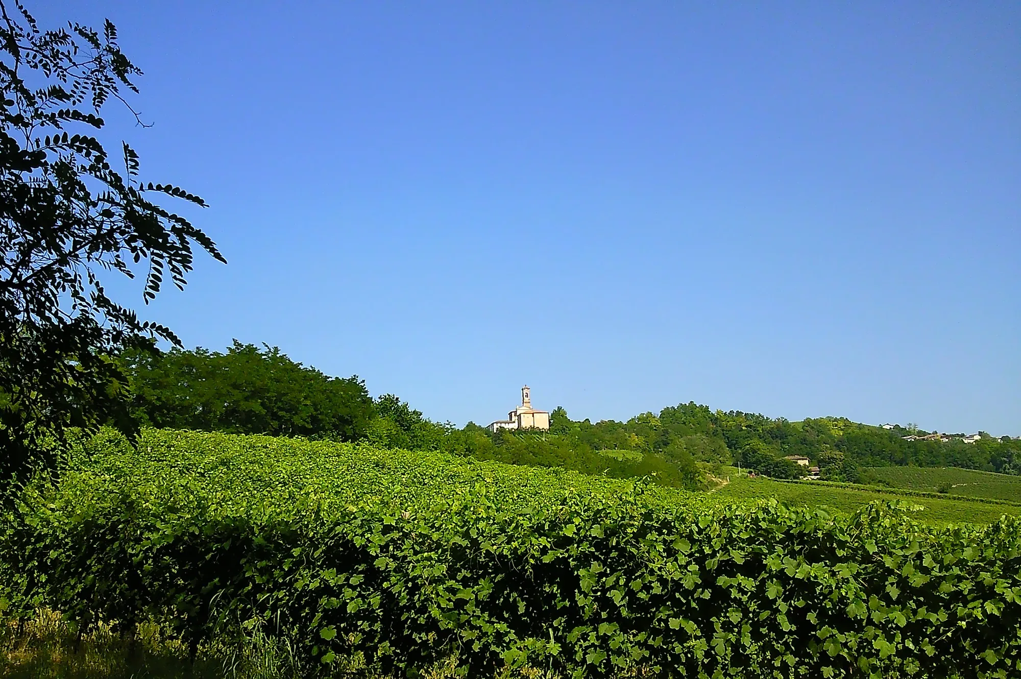 Photo showing: Castagnara da Calcababbio