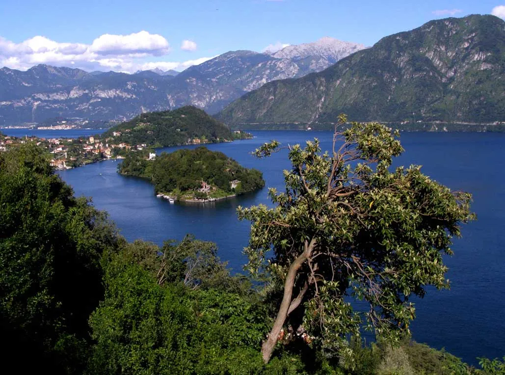 Photo showing: Lake Como landscape (Comacina island)