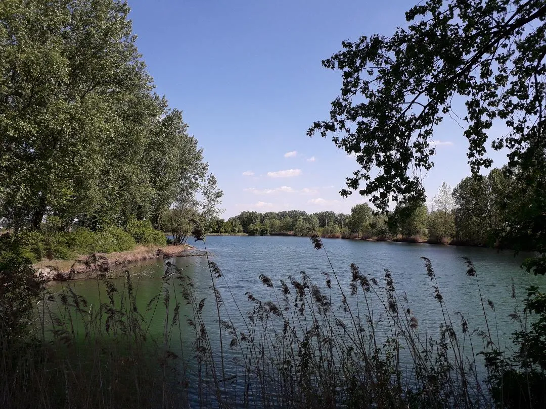 Photo showing: the photo shows a lake in the Po Valley (Province of Mantova)