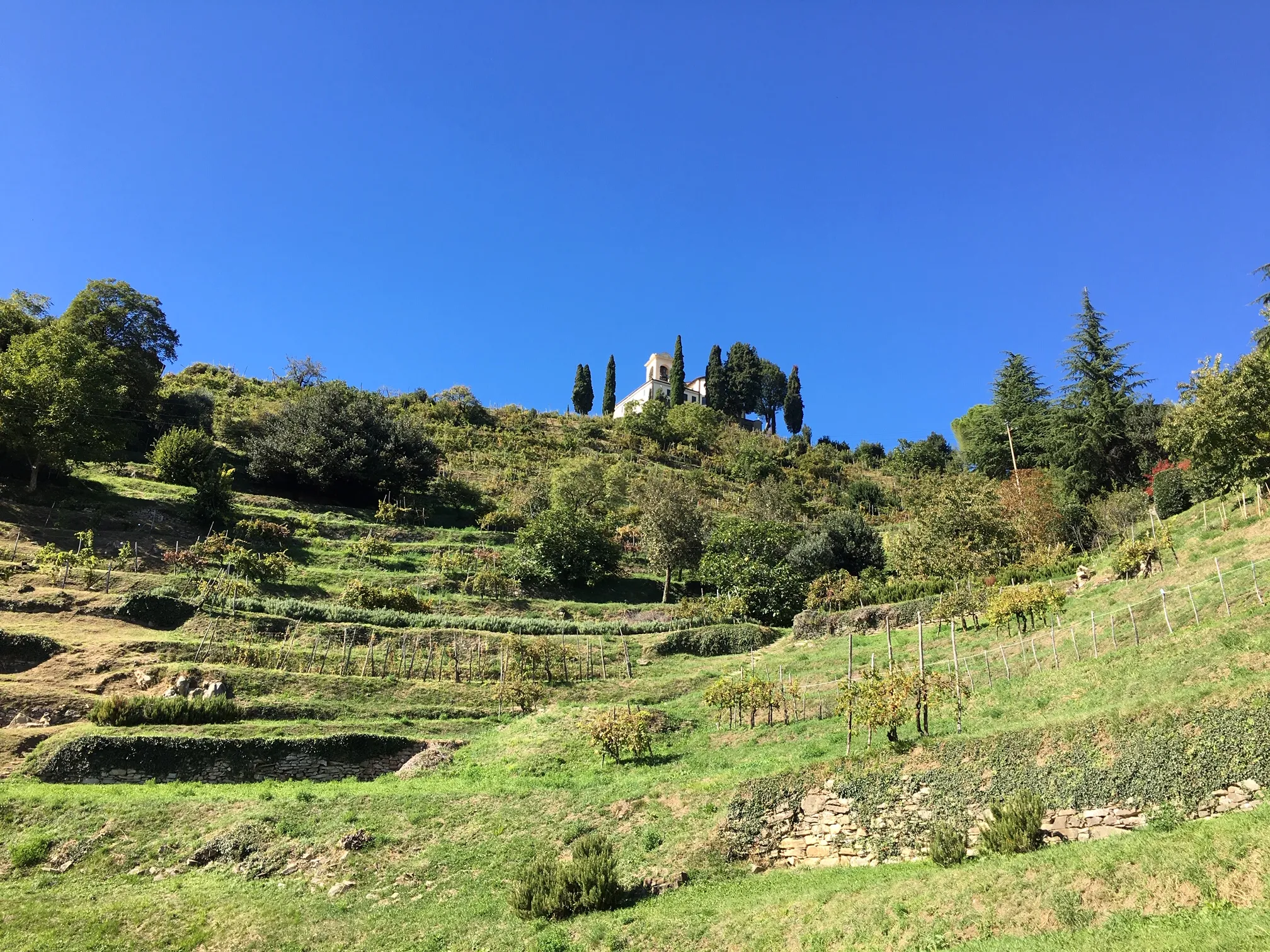 Photo showing: Vista del Santuario della Beata Vergine del Carmelo di Montevecchia e dei terrazzamenti circostanti