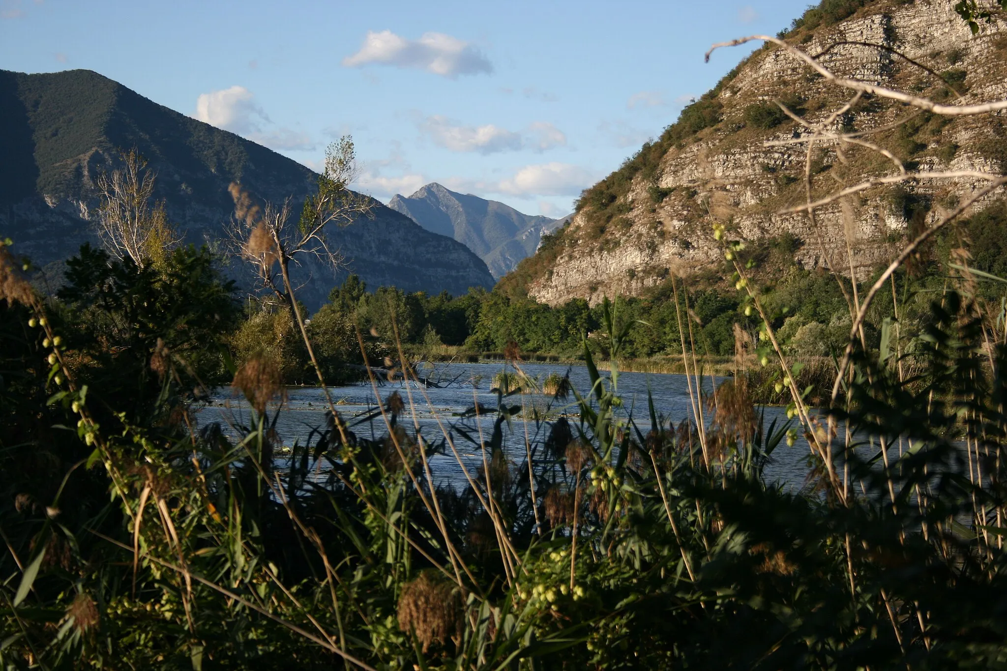 Photo showing: Natural reserve of "Torbiere del Sebino" - Iseo lake, Italy