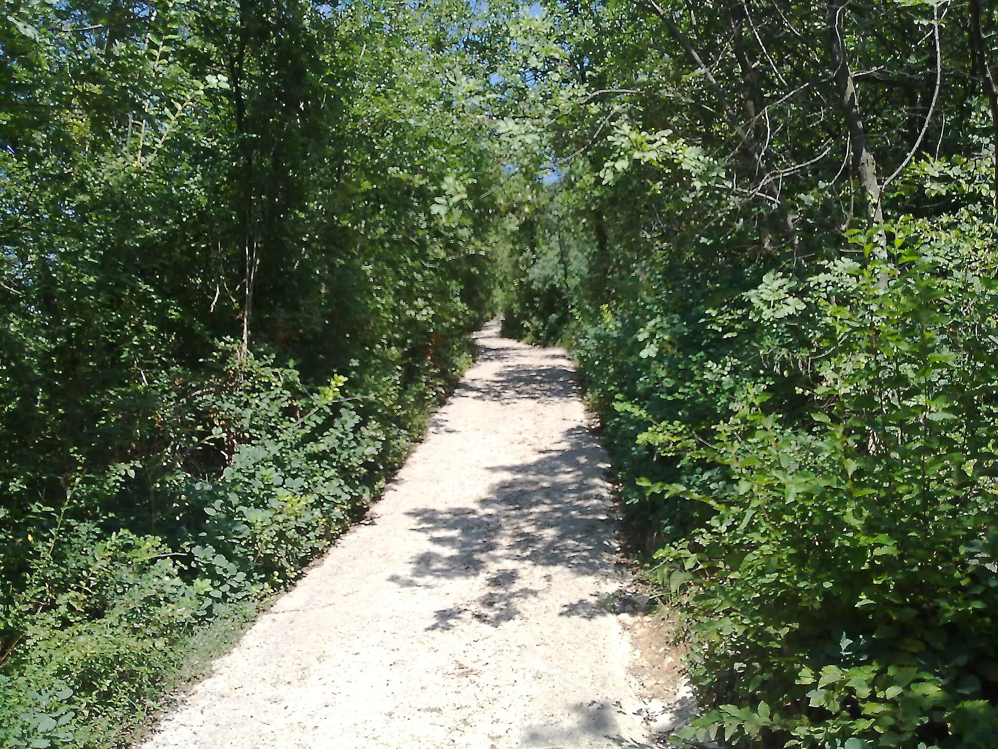 Photo showing: la strada per i sentieri del parco sopra bovezzo