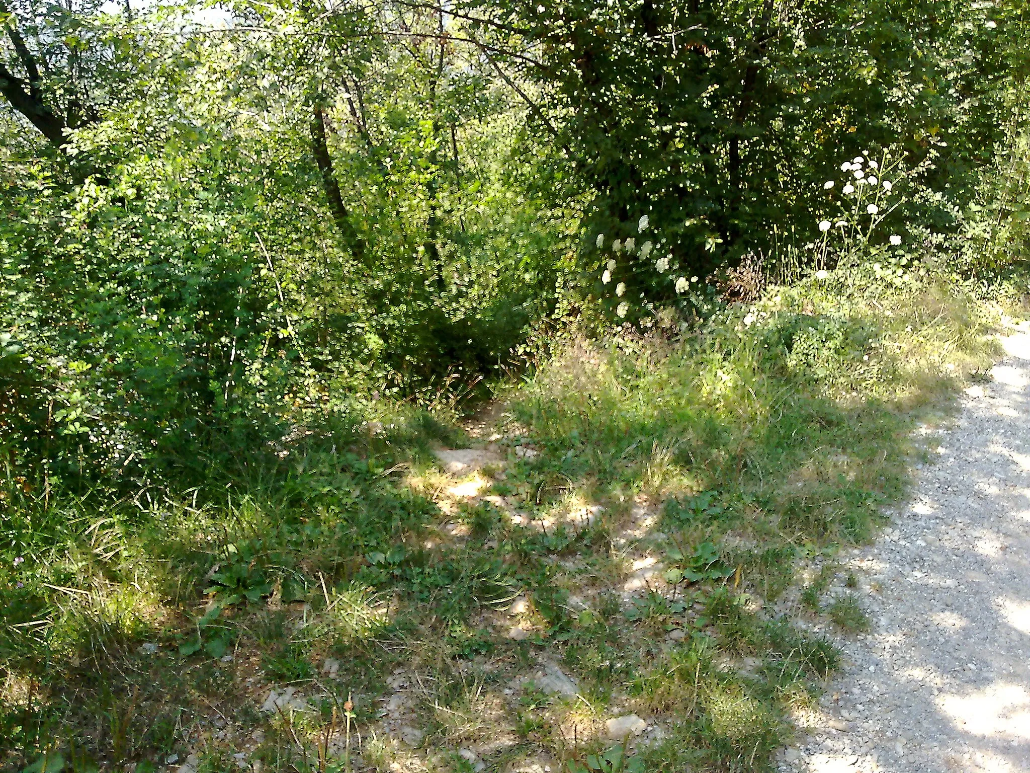 Photo showing: il bivio tra la strada principale e il sentiero