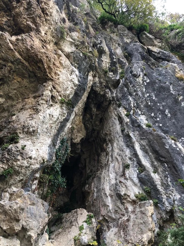 Photo showing: Entrata della grotta del Büs del Bò, situata sul versante occidentale del Monte Covolo