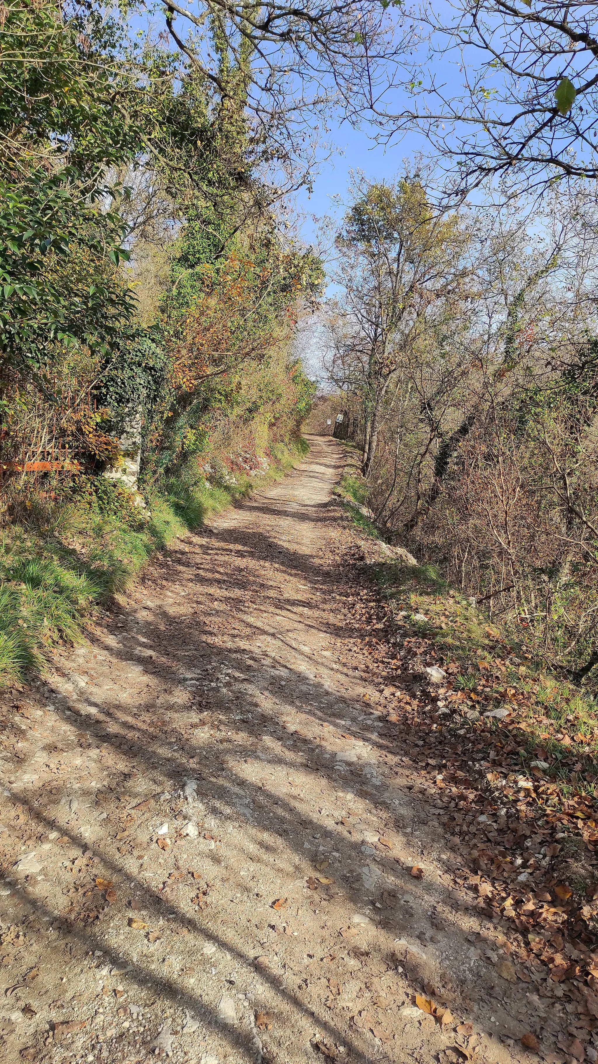 Photo showing: Strada monte Covolo
