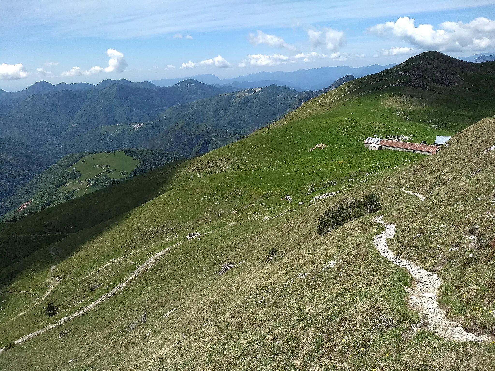 Photo showing: monte Tombea