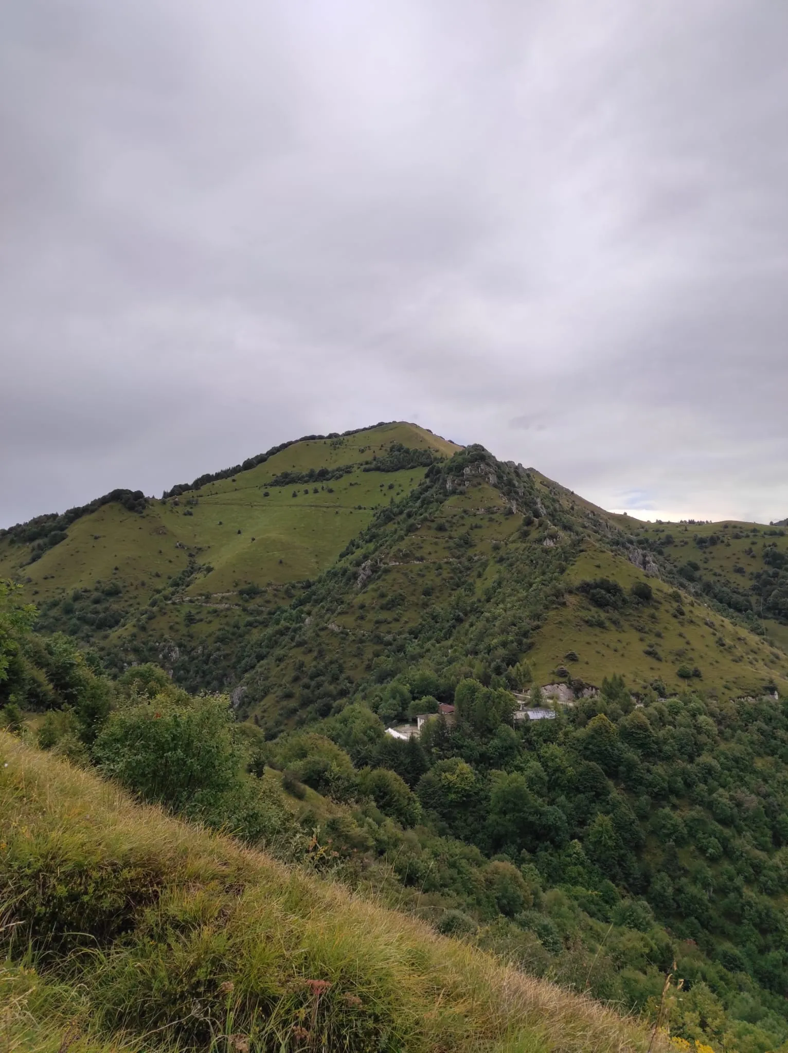 Photo showing: Il versante sud-ovest del Monte Manos visto dal monte Riosecco. E' visibile la strada militare che risale il crinale erboso.