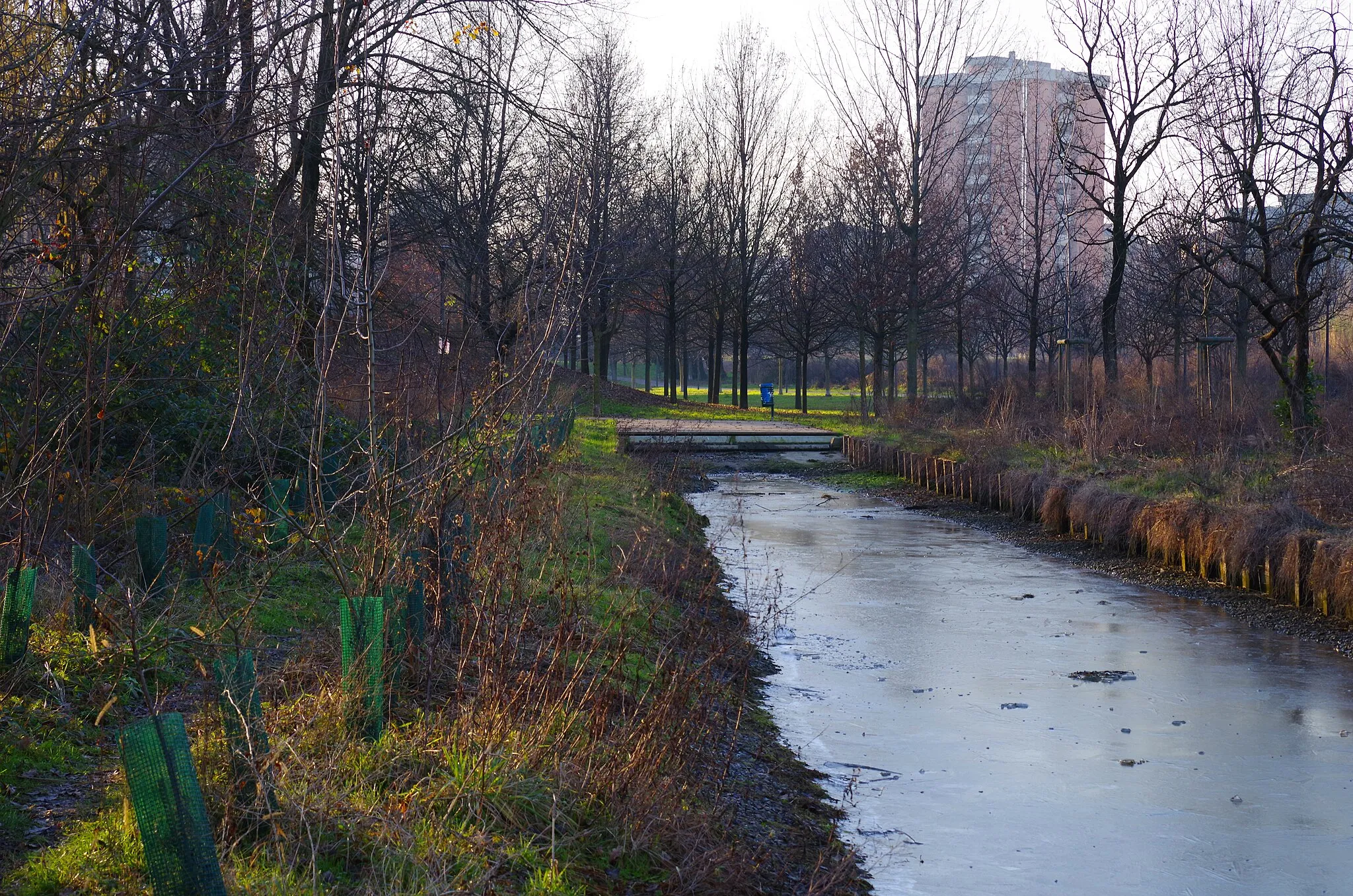 Photo showing: Milan, winter in a small park in the north-west side