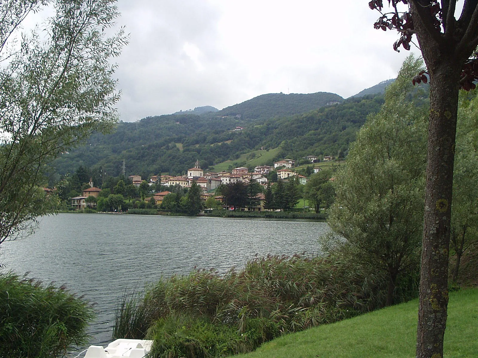 Photo showing: Spinone al lago vista dalla riva di Monasterolo del Castello