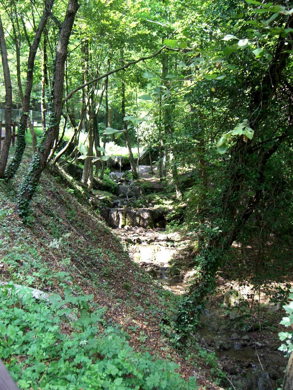 Photo showing: Spinone al Lago - Valle del Tuf - ruscello d'acqua sorgiva sulfurea nei pressi della Fonte spinosa