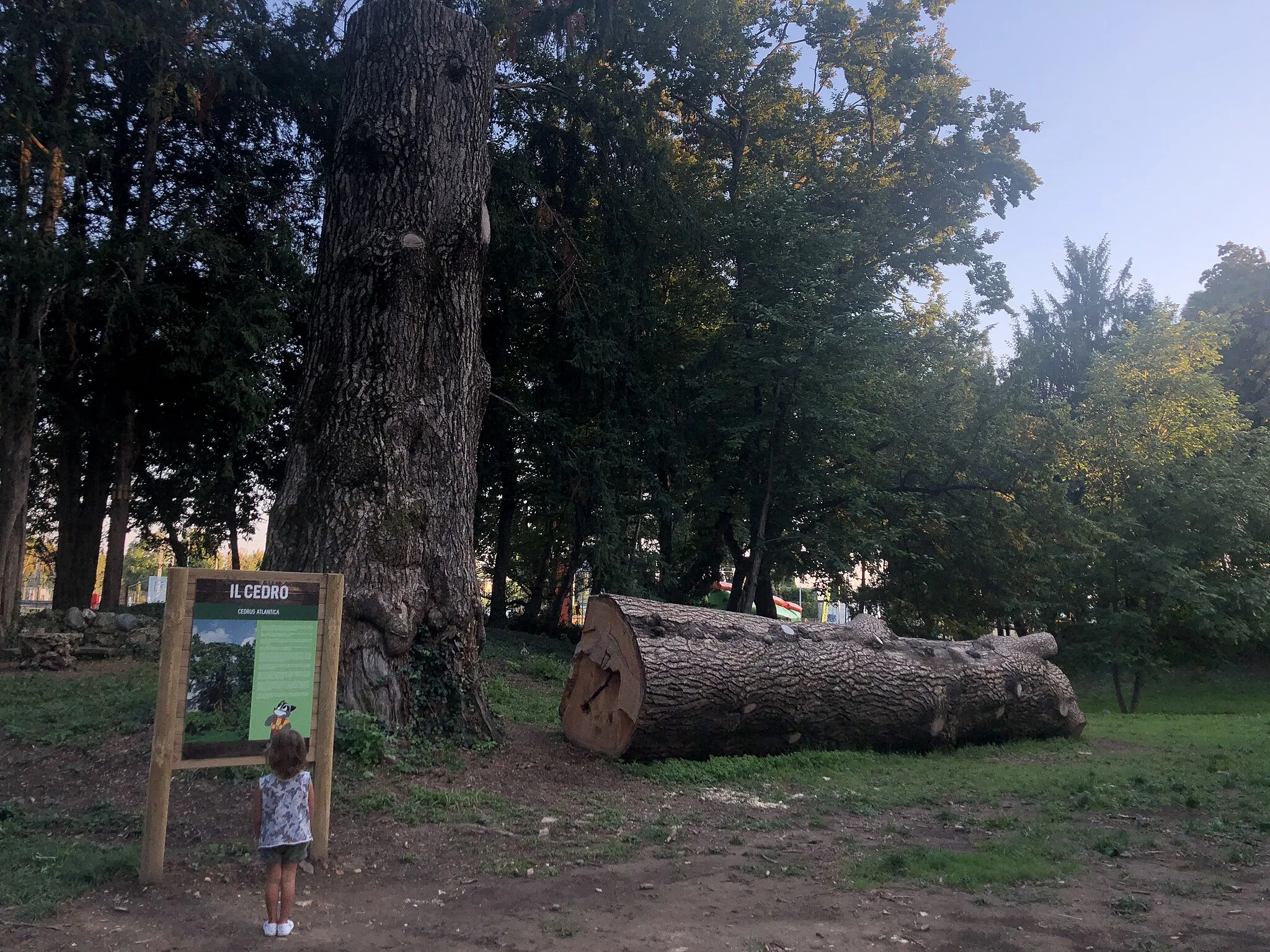 Photo showing: This is a photo of a monument which is part of cultural heritage of Italy. This monument participates in the contest Wiki Loves Monuments Italia 2018. See authorisations.