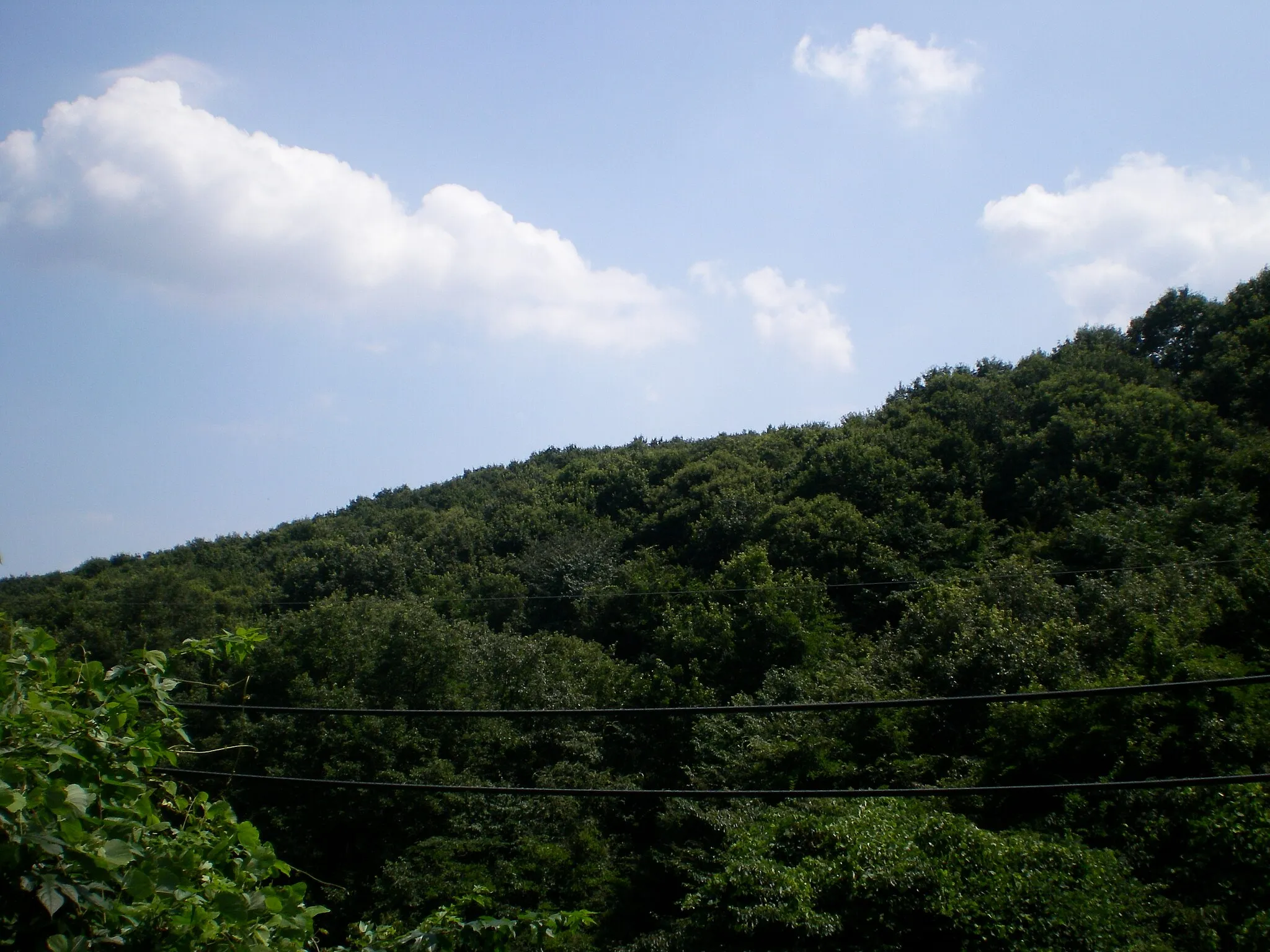 Photo showing: Near Futatsudzuka Pass 2