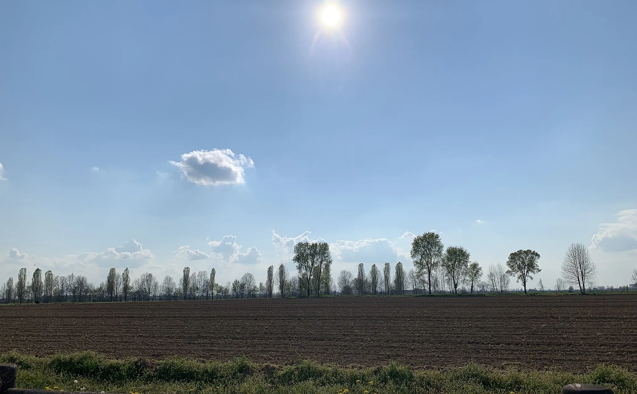 Photo showing: Campi nei pressi di San Gervasio Bresciano