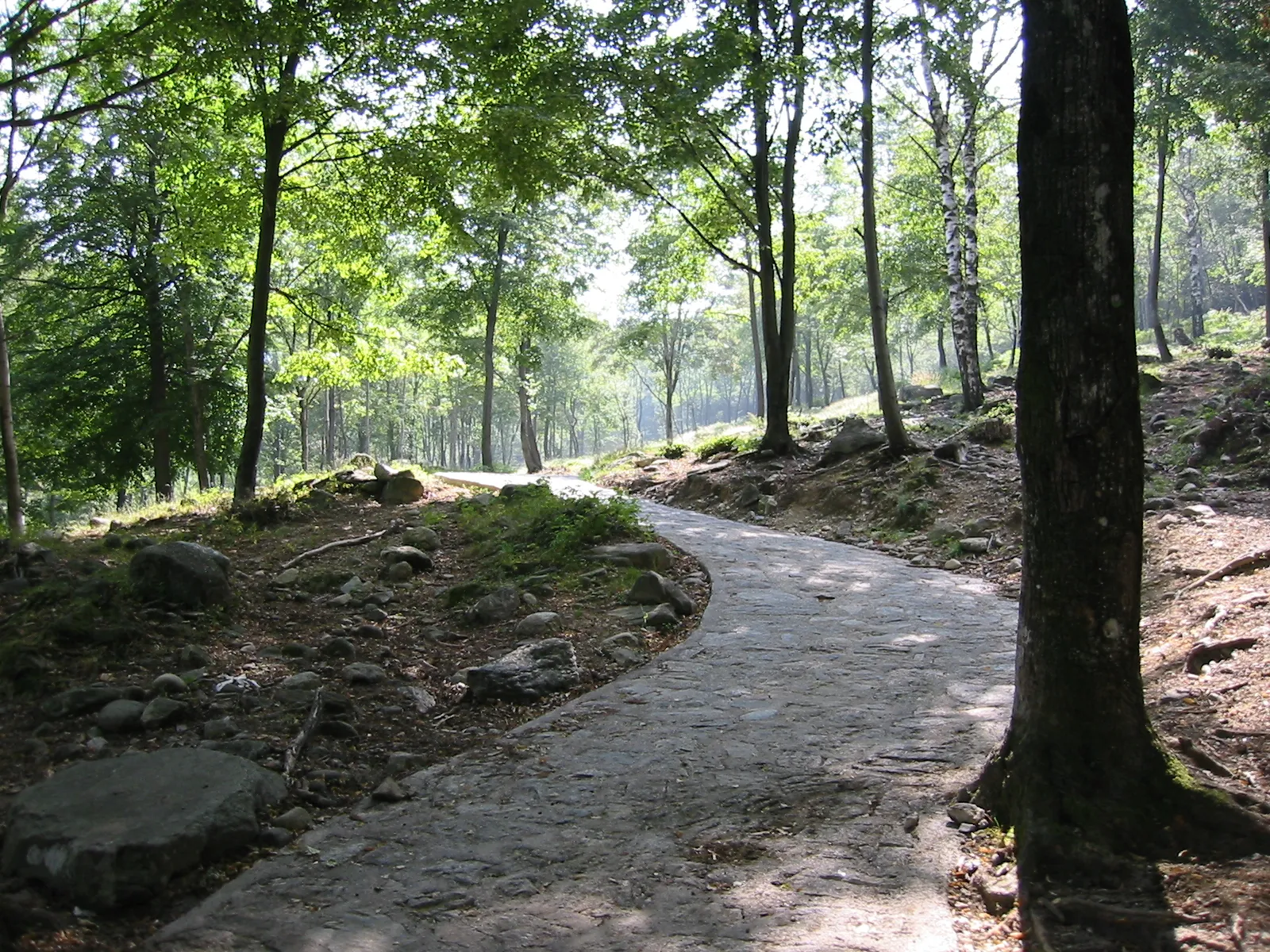 Photo showing: Enco - la strada di pietre