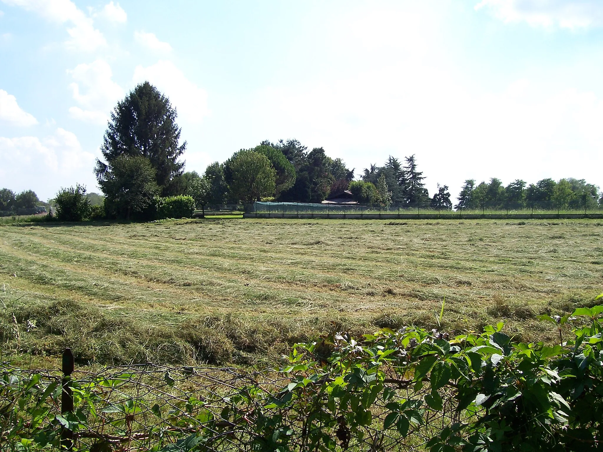 Photo showing: Campi agricoli di Figino Serenza