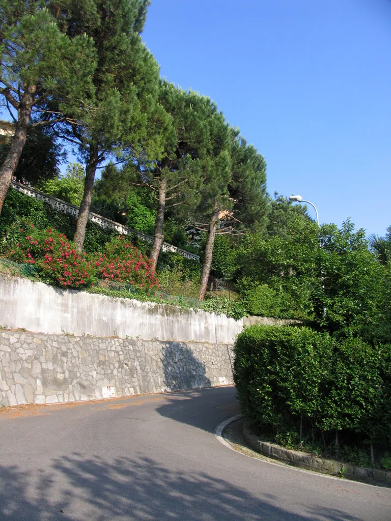 Photo showing: Via Ponisio - Faleggia 06/2009