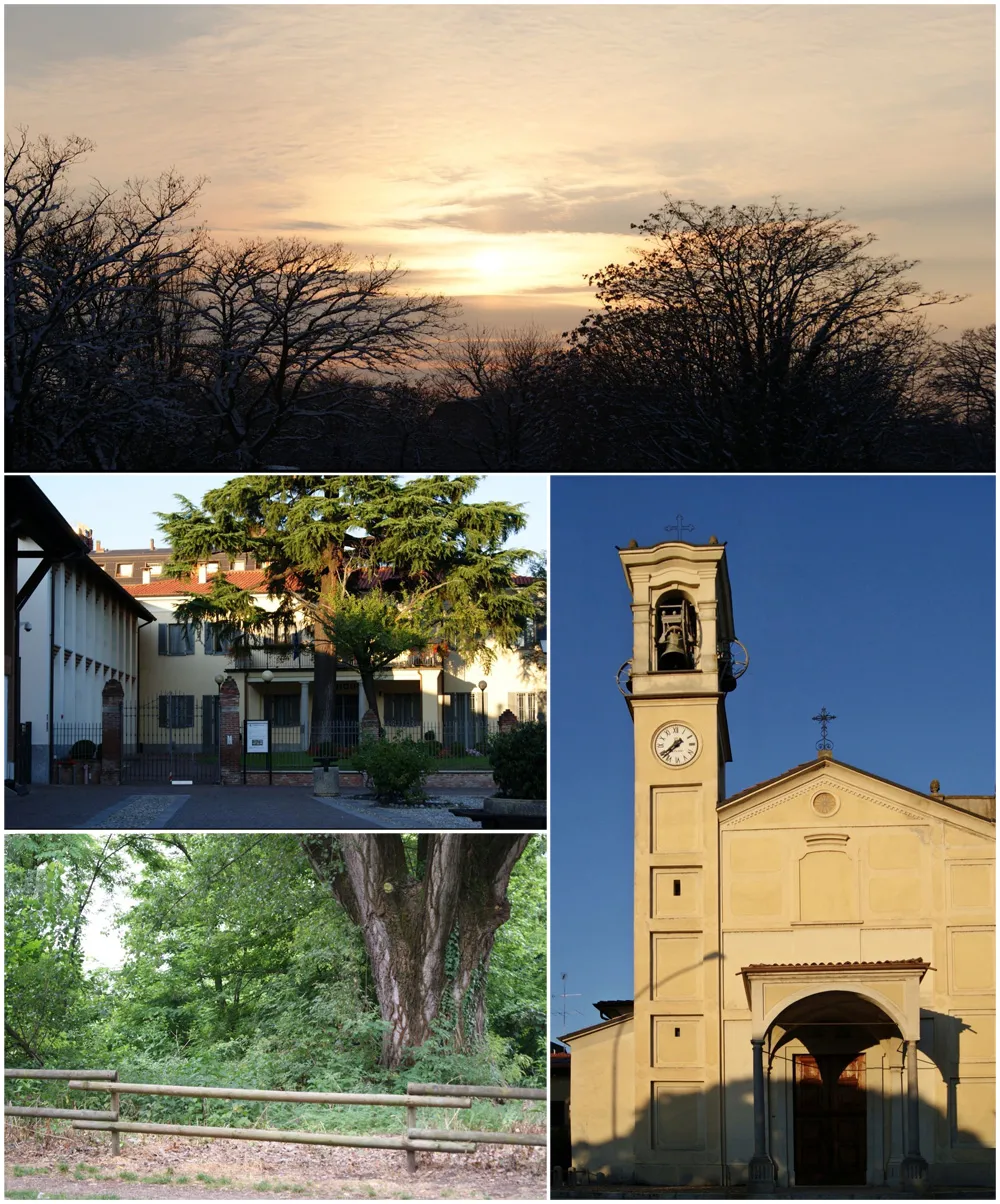 Photo showing: collage di immagini dedicate al comune di Assago.